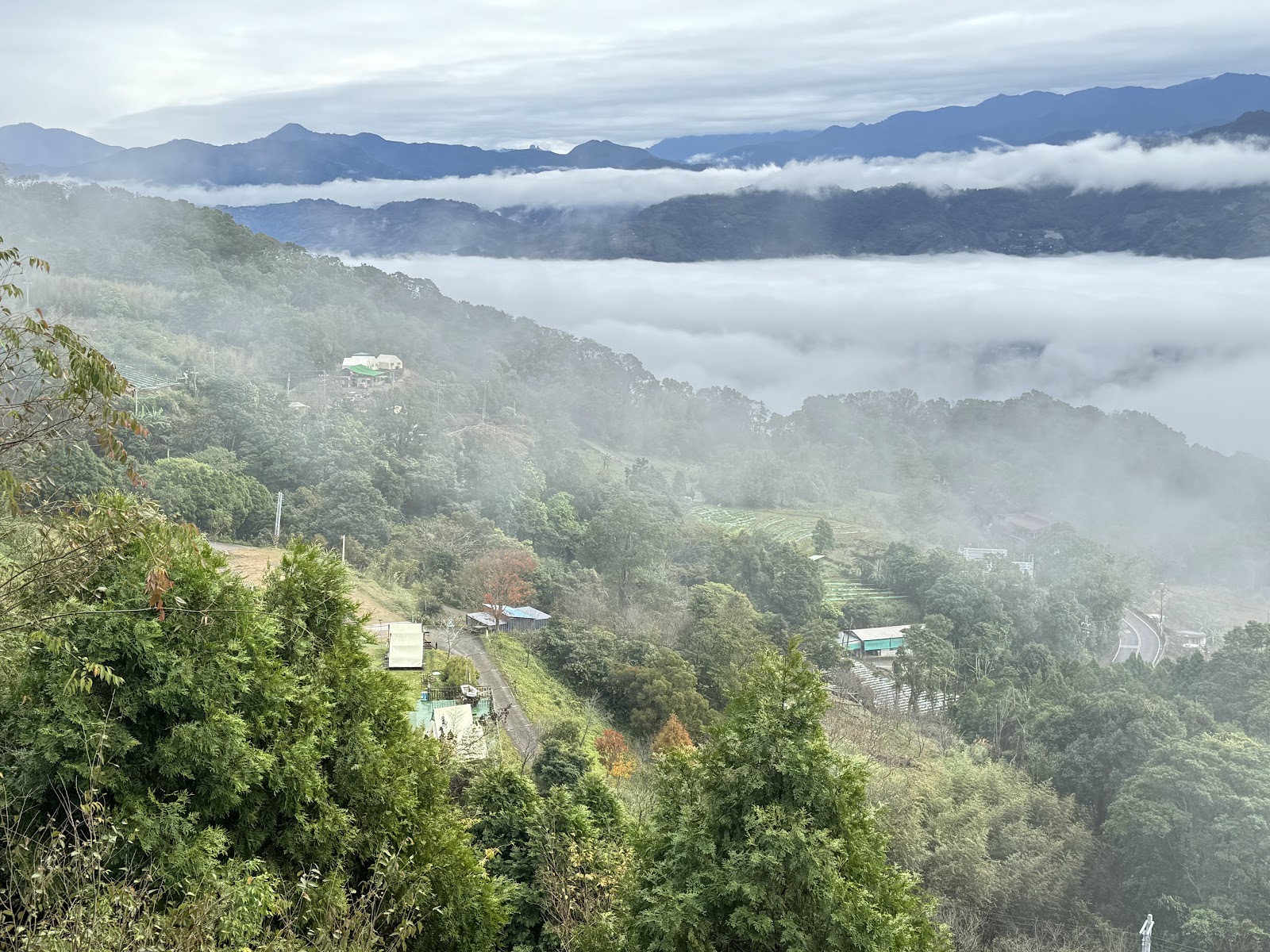 薑麻園楓樹亭眺望山谷雲海與聚落景色