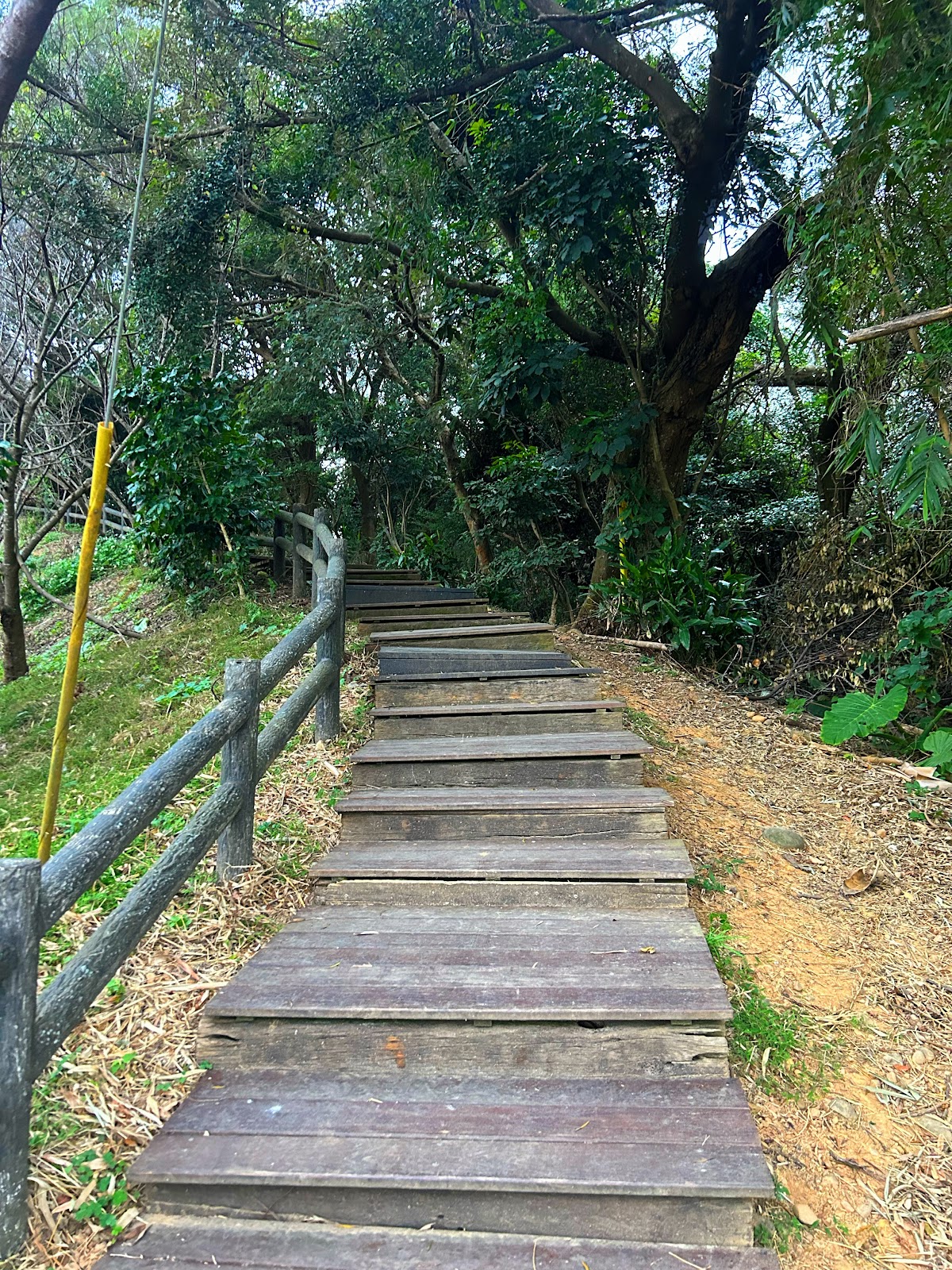 楓樹坑步道木棧階梯