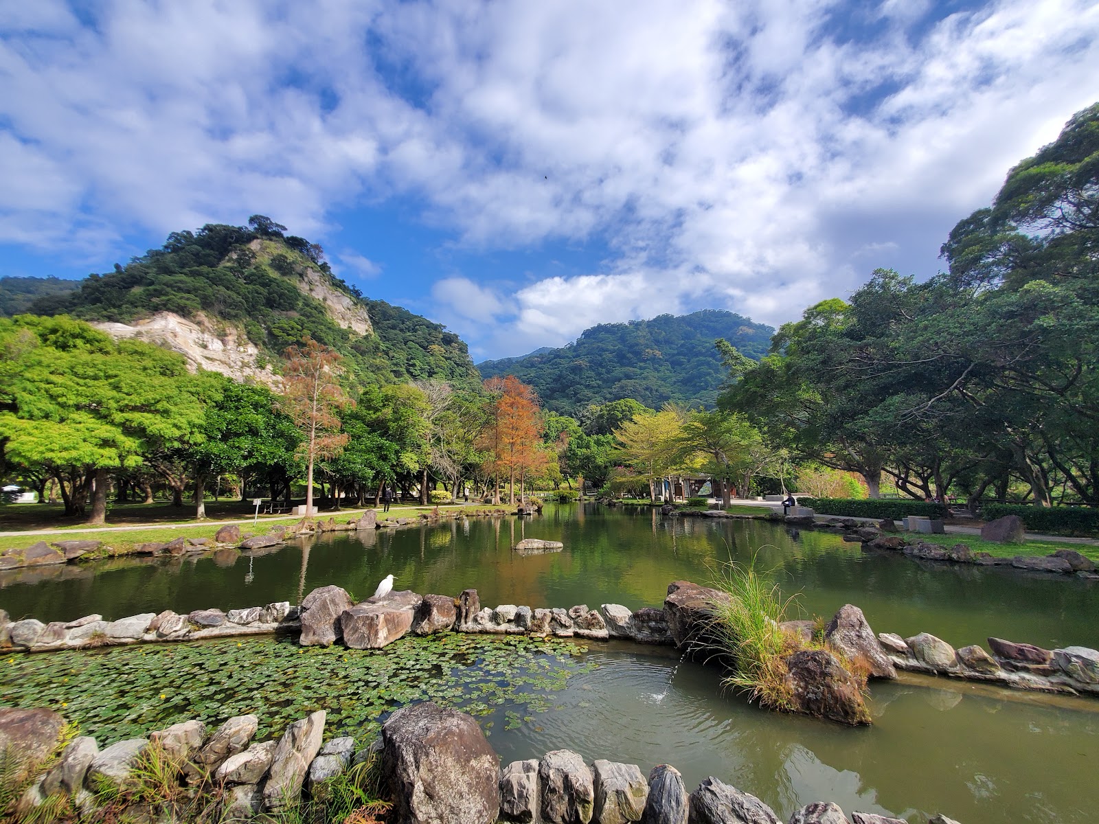 貴子坑水土保持教學園區情人湖生態池，白鷺鷥停留湖畔石堆，遠方可見裸露的五指山層岩壁