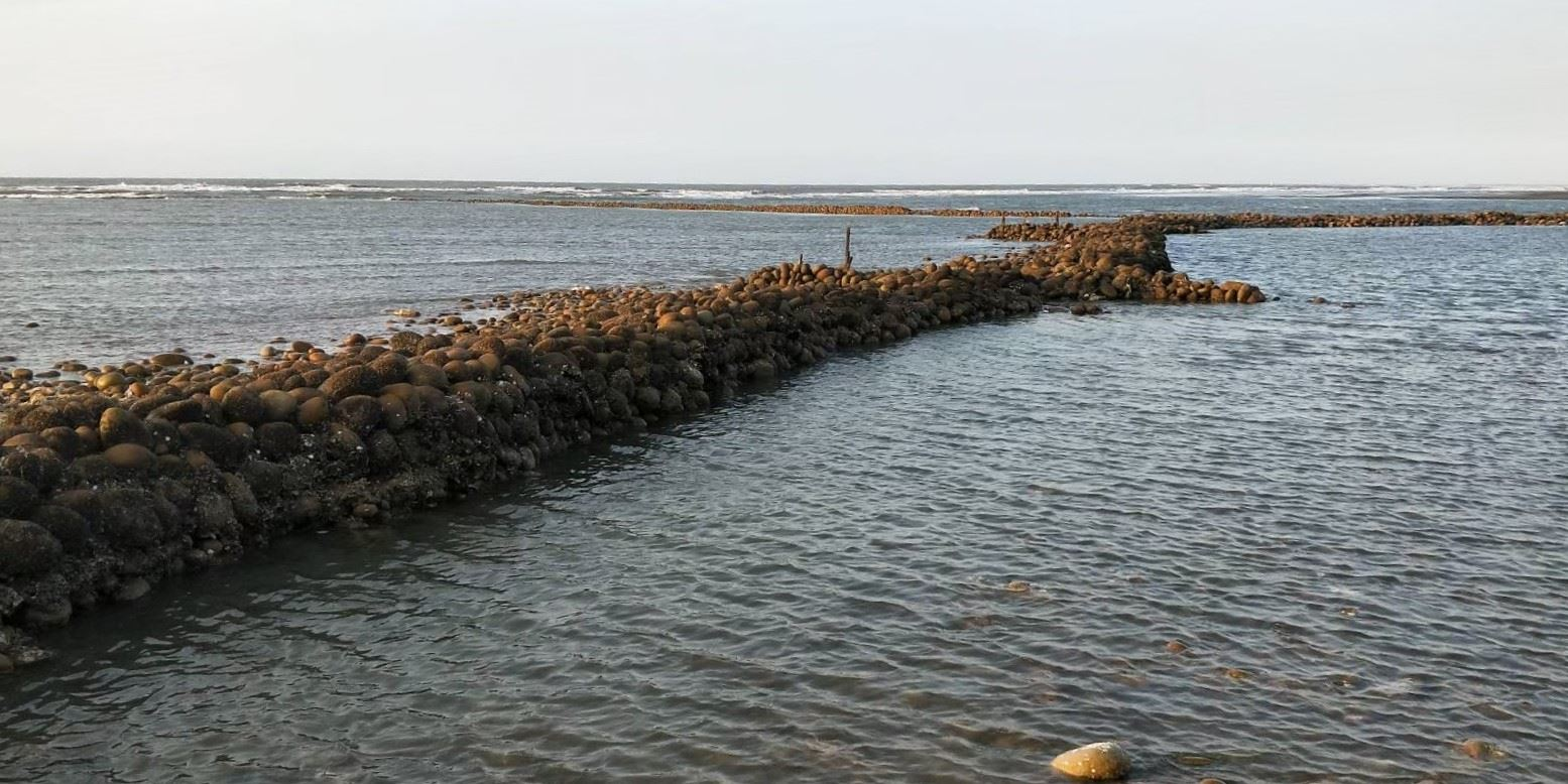 坡頭村石滬海岸