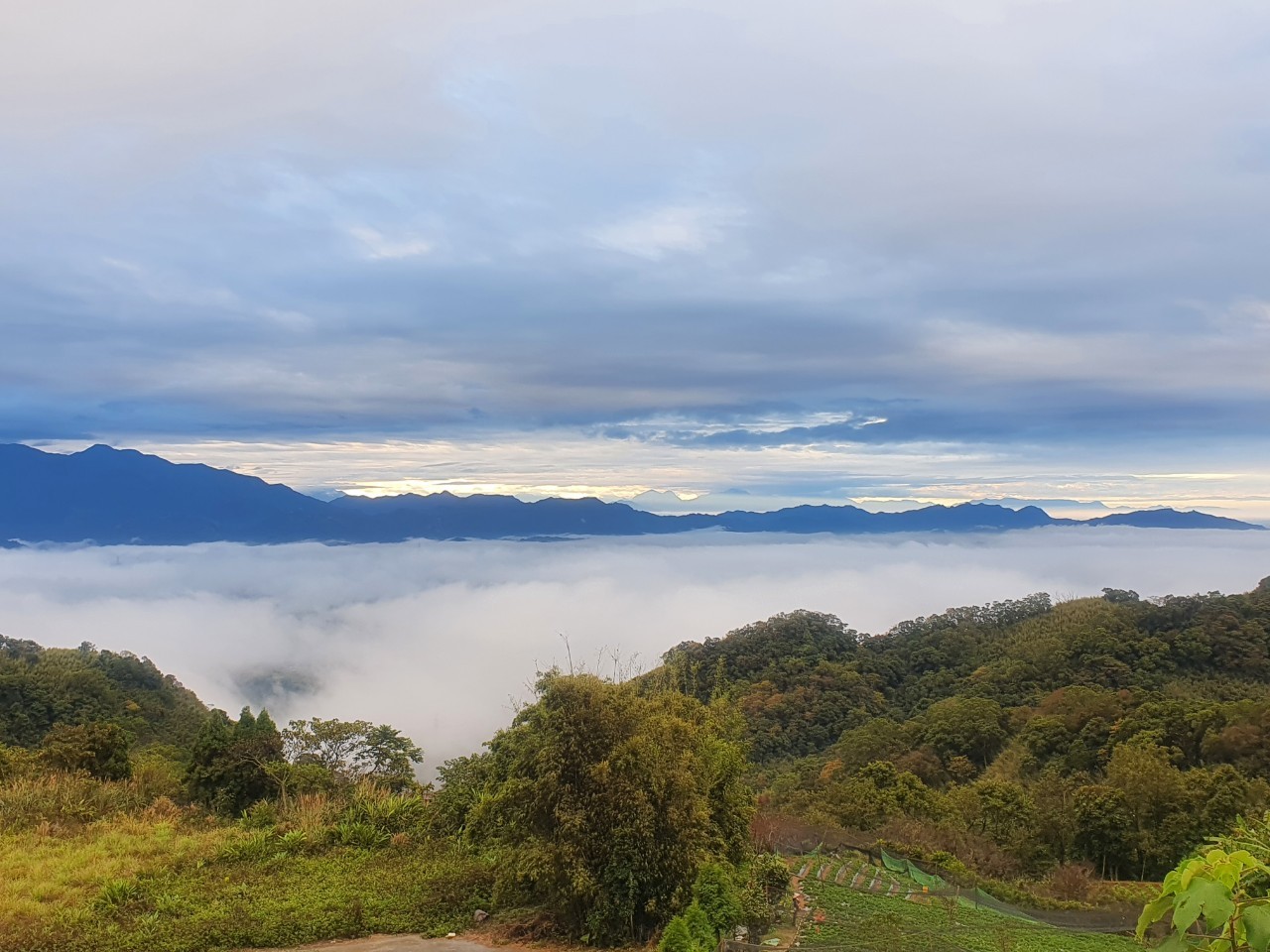 薑麻園觀景平台眺望山巒雲海壯闊景色