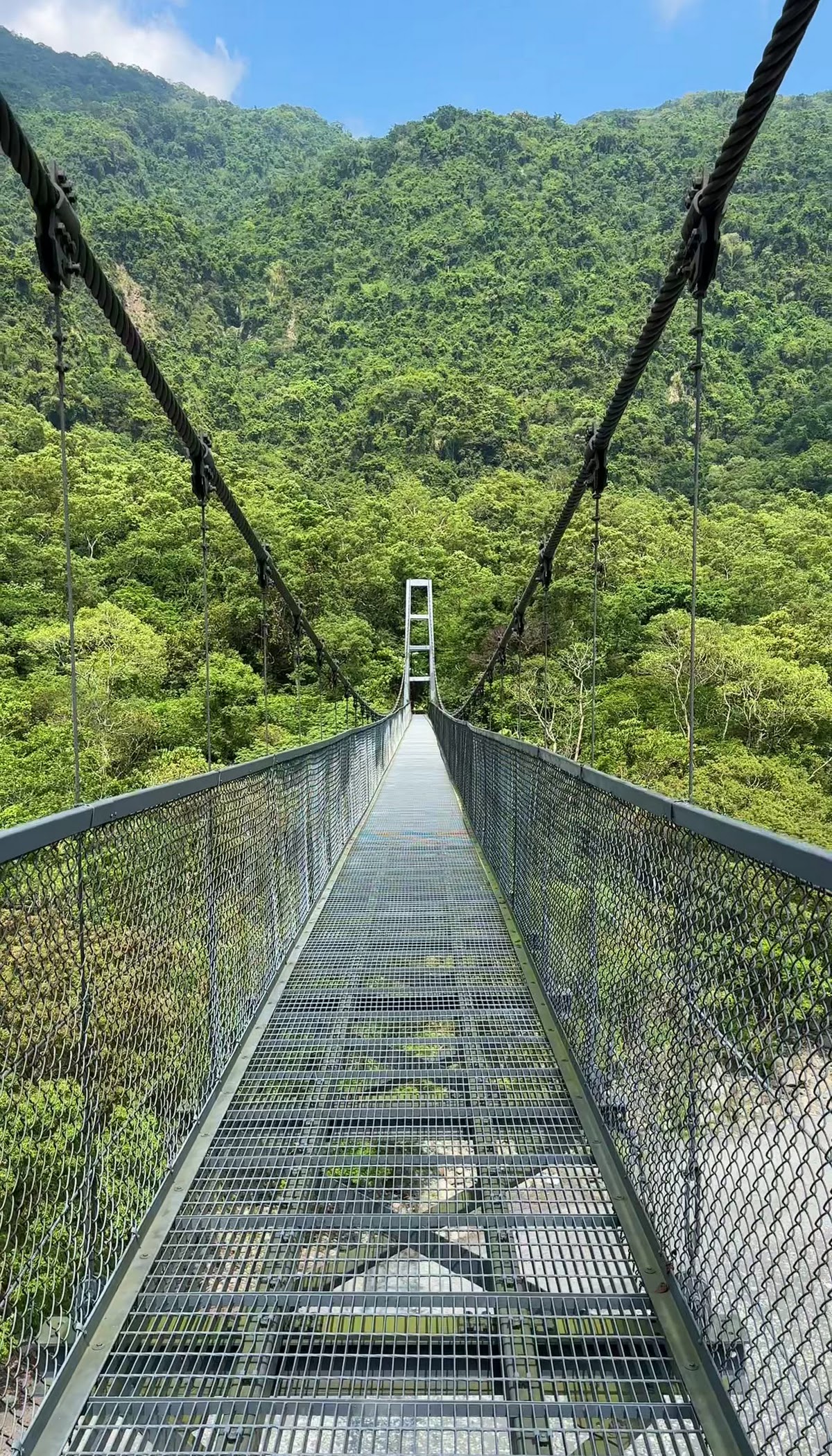 鹿鳴吊橋直式構圖，橋面鐵網與遠方涼亭