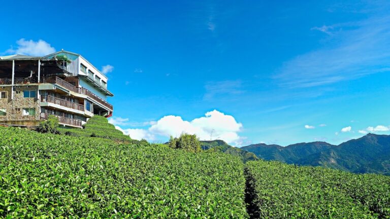 生力農場住宿深度評測:阿里山隙頂茶園山景民宿、早餐與體驗一次看