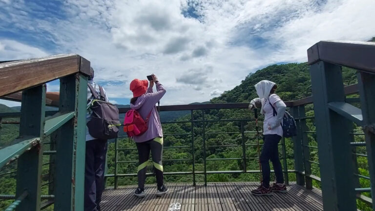 北部避暑步道懶人包|8條森林系消暑路線,捷運可到、瀑布秘境、親子健行一次收錄
