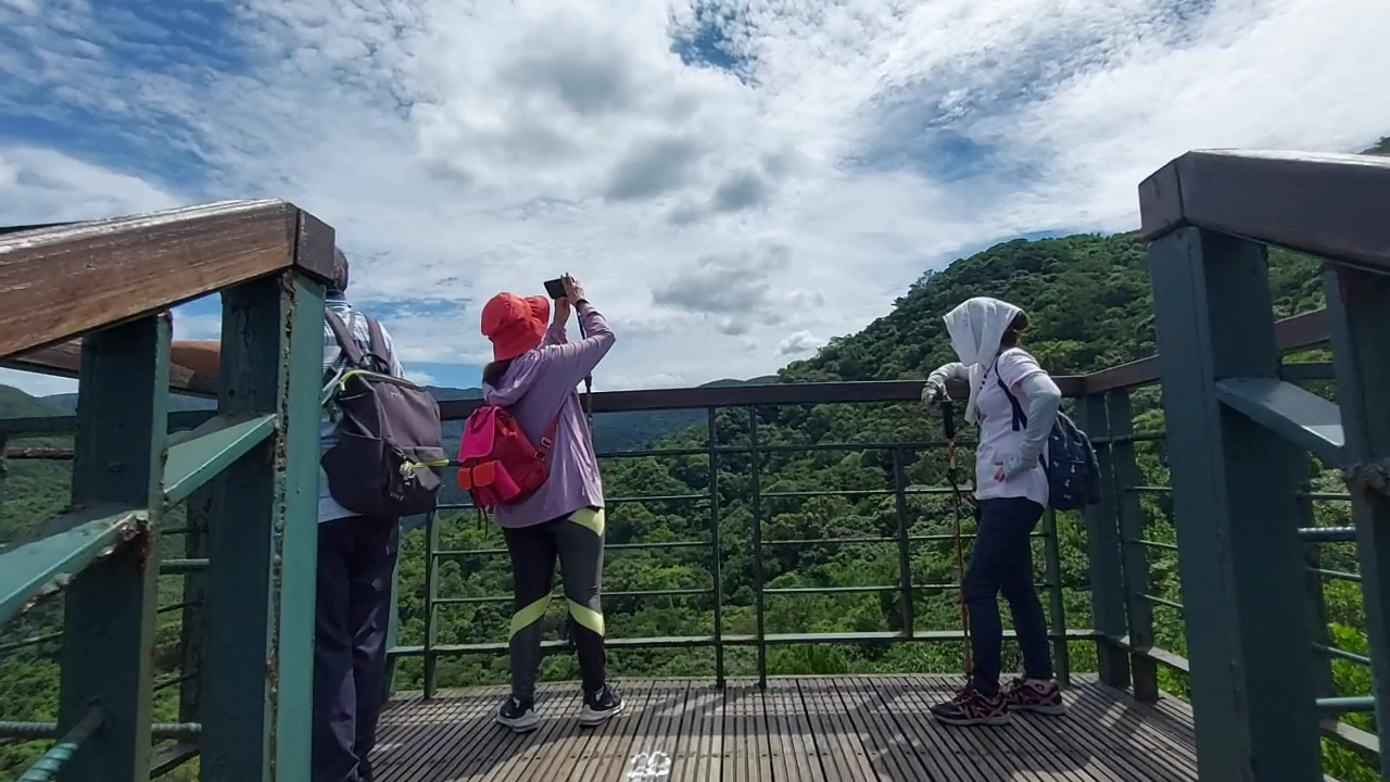北部避暑步道懶人包｜8條森林系消暑路線，捷運可到、瀑布秘境、親子健行一次收錄