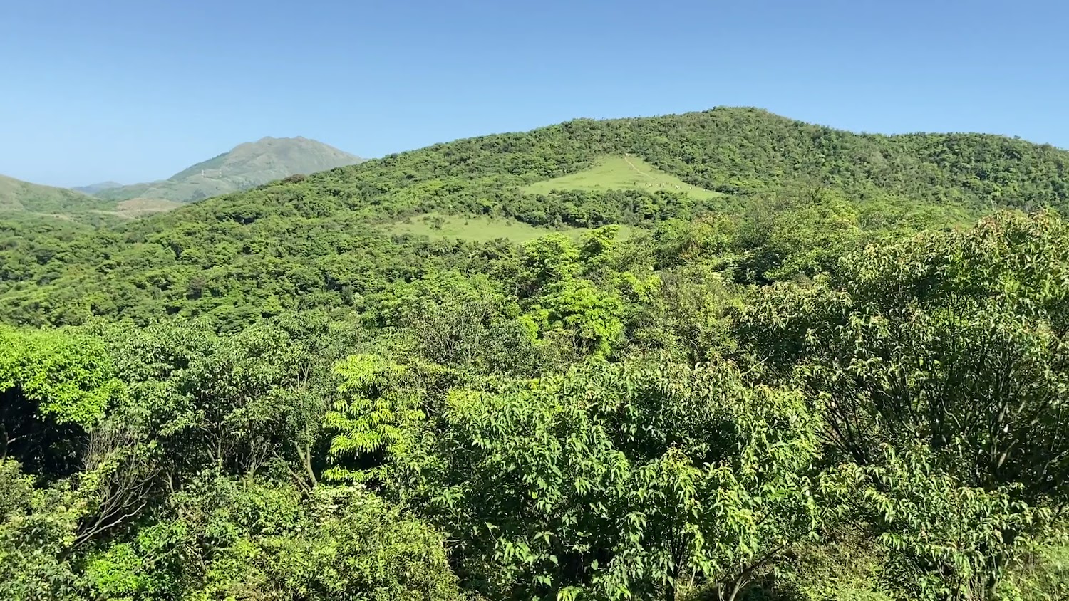 森林步道推薦懶人包 全台8條必走森林系步道一次看