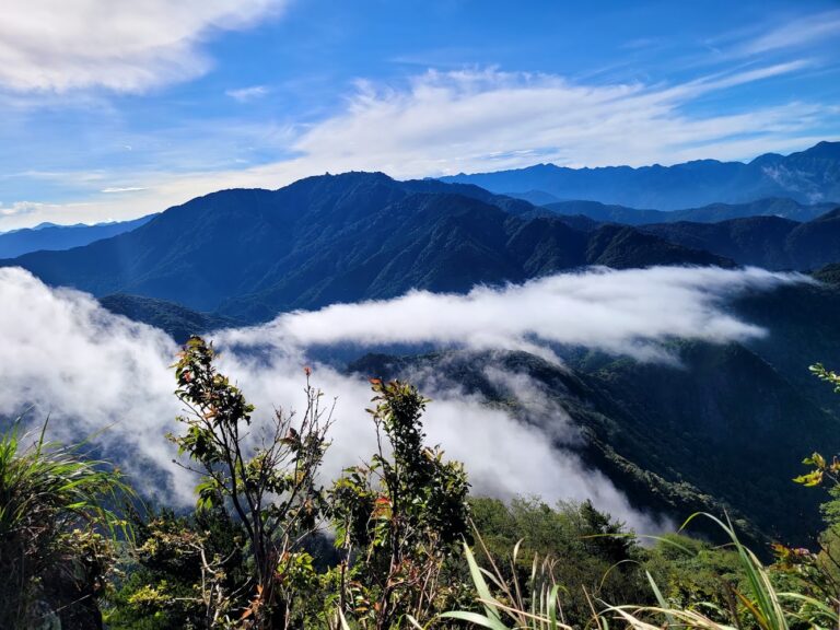 苗栗加里山登山全攻略:雲海展望、路線難度、森林步道體驗一次看
