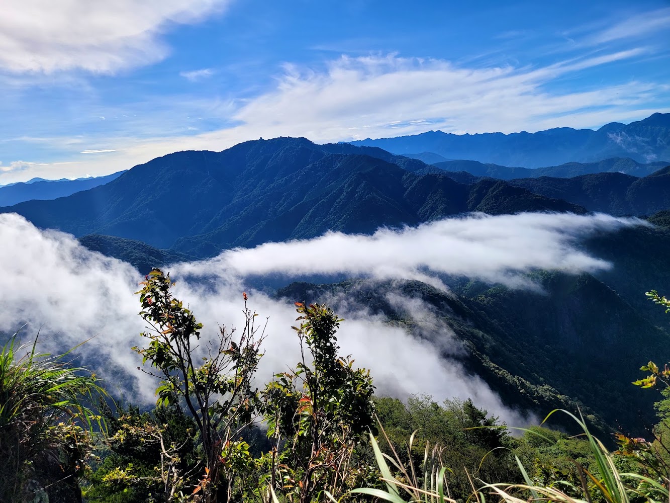苗栗加里山登山全攻略：雲海展望、路線難度、森林步道體驗一次看
