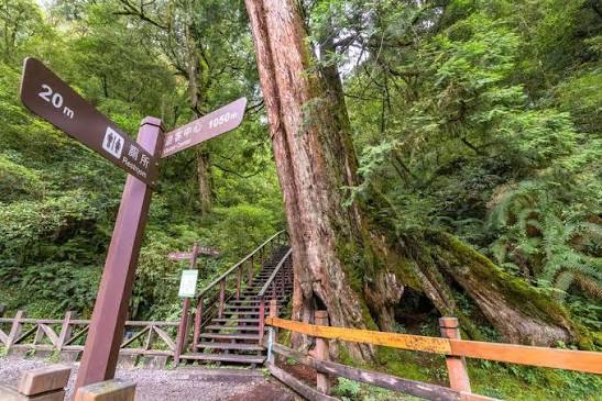 拉拉山國家森林遊樂區|桃園觀光導覽網