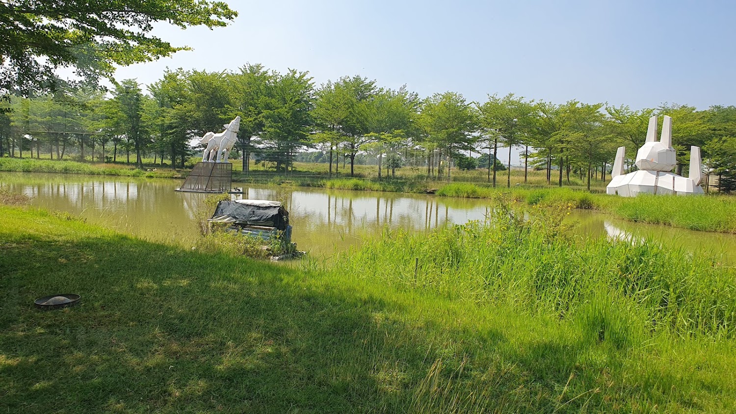 凌波渡頭休閒農業區懶人包：官田親子農場、生態賞鳥與在地農遊一次玩