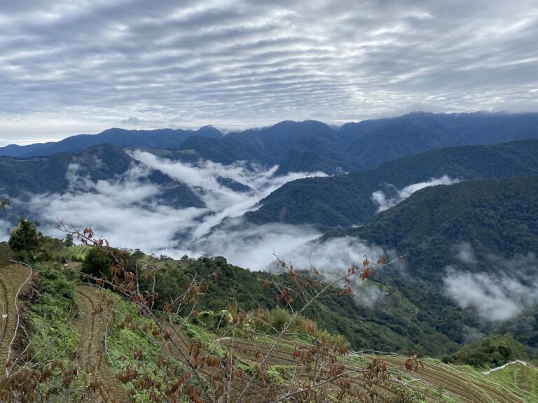 雪霸休閒農場50週年深度開箱 住進雲海與森林之間的一泊二食山居假期
