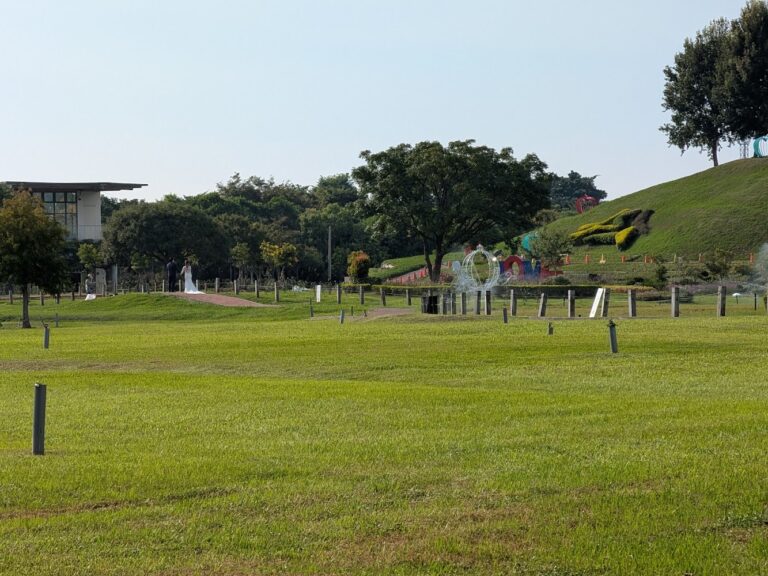 台中風箏嘉年華懶人包:精選 7 個放風箏、玩草地、親子散步好去處