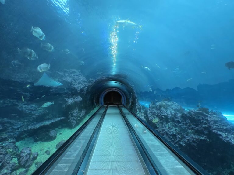 屏東海生館夜宿懶人包:夜宿海生館、國立海洋生物博物館、世界水域館玩法一次看
