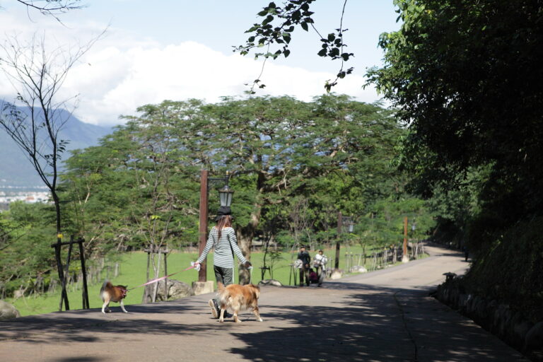 美崙山公園|花蓮市文化觀光資訊網