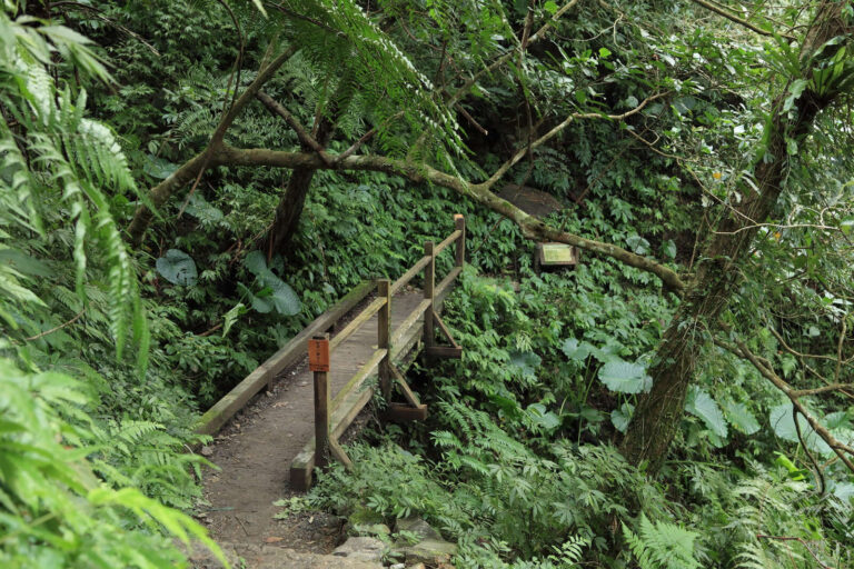 林美石磐步道|礁溪鄉公所