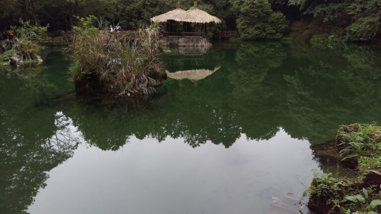 阿里山深度旅行指南 漫遊姐妹潭、林鐵與山城雲海的療癒路線