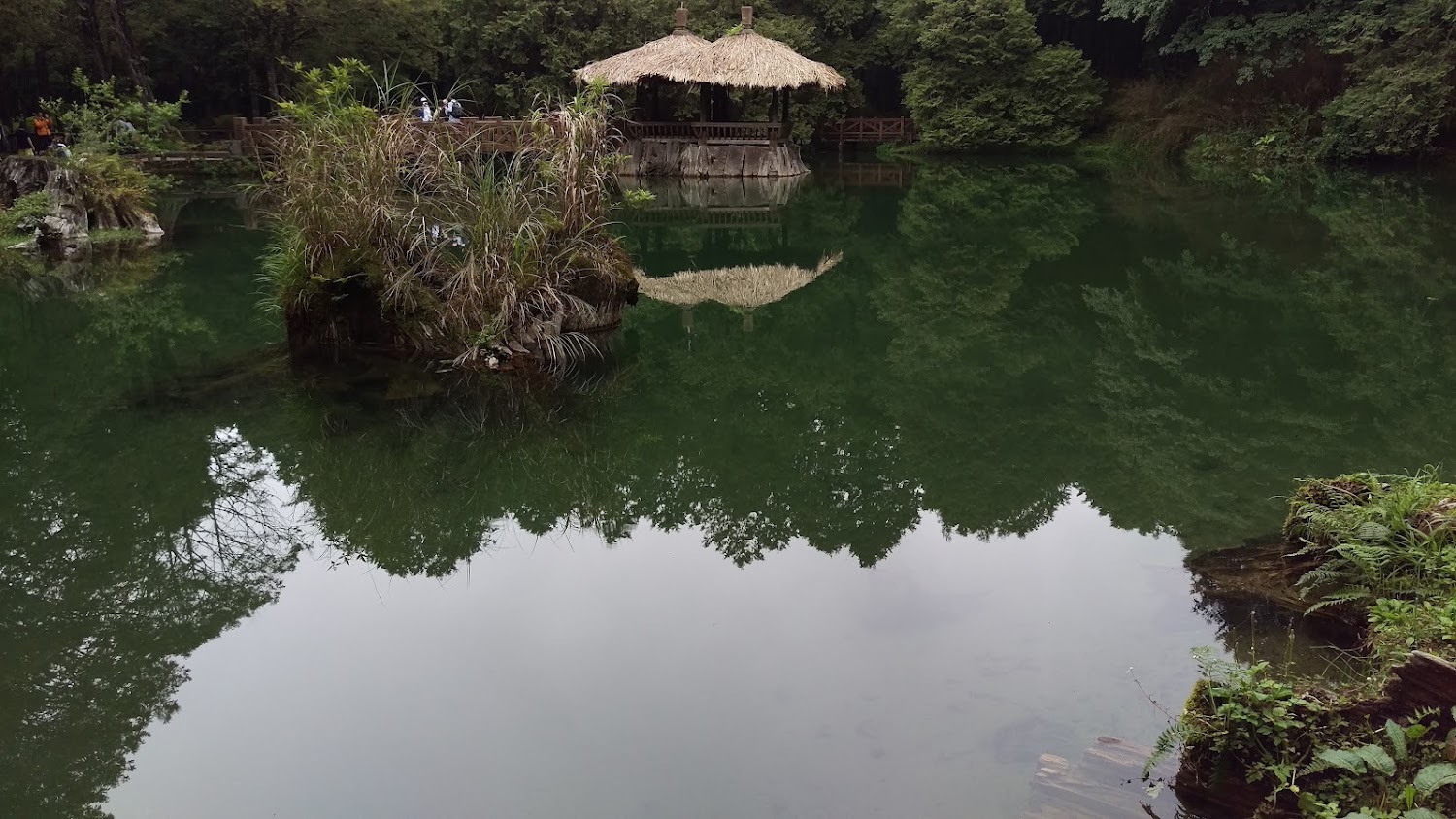 阿里山深度旅行指南 漫遊姐妹潭、林鐵與山城雲海的療癒路線