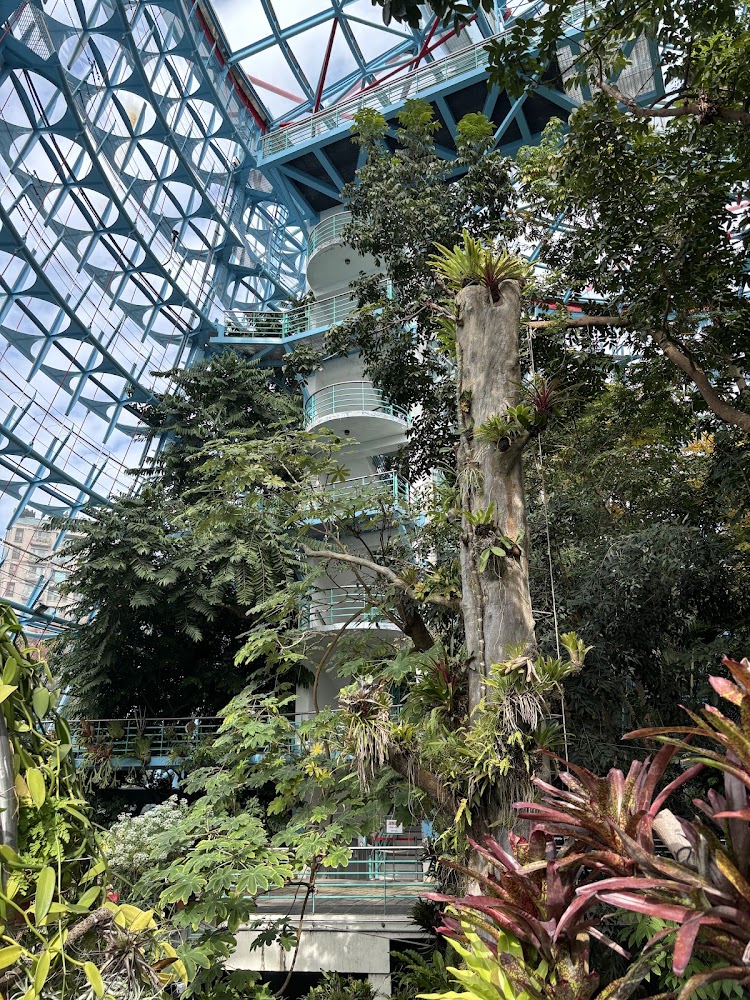 台中科博館懶人包：國立自然科學博物館必逛展區、科學中心、植物園一次看