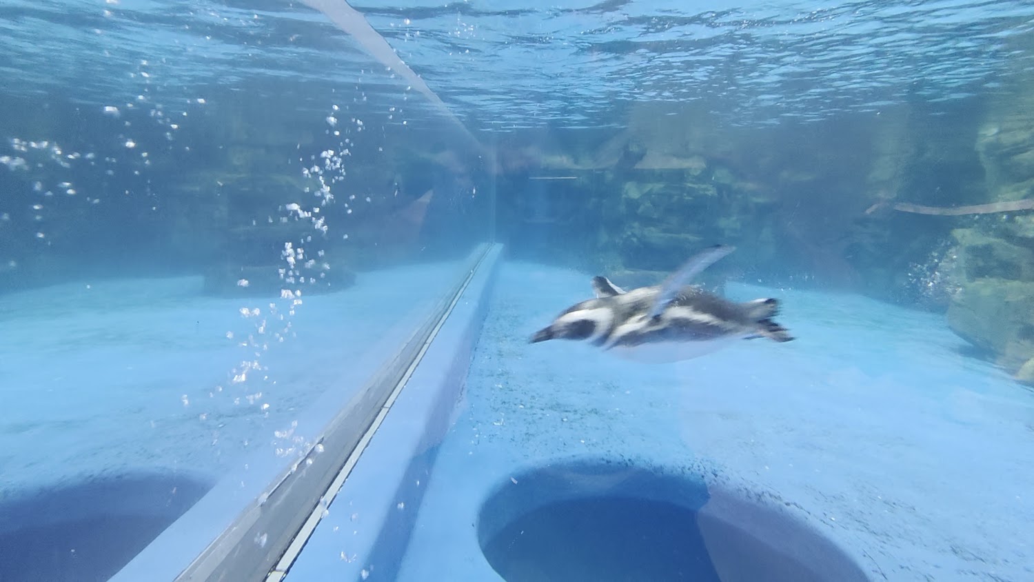 桃園水族館懶人包 精選 6 個親子出遊、療癒賞魚與青埔一日遊必去地點