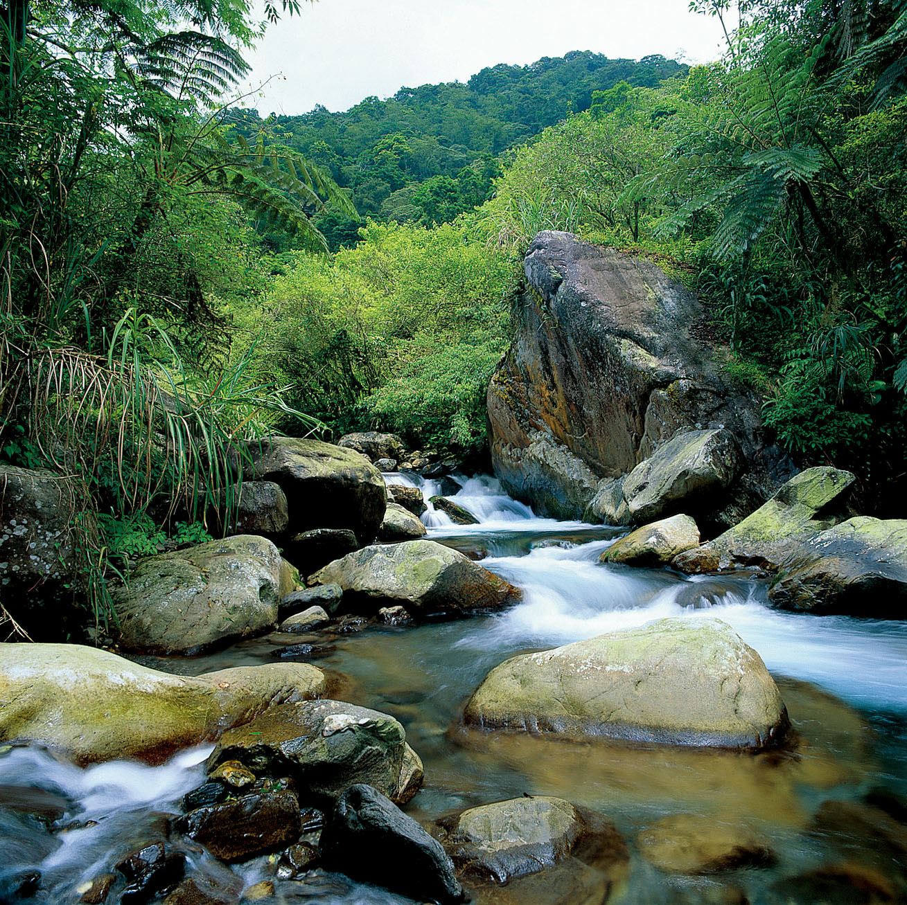 松羅步道｜台灣山林悠遊網