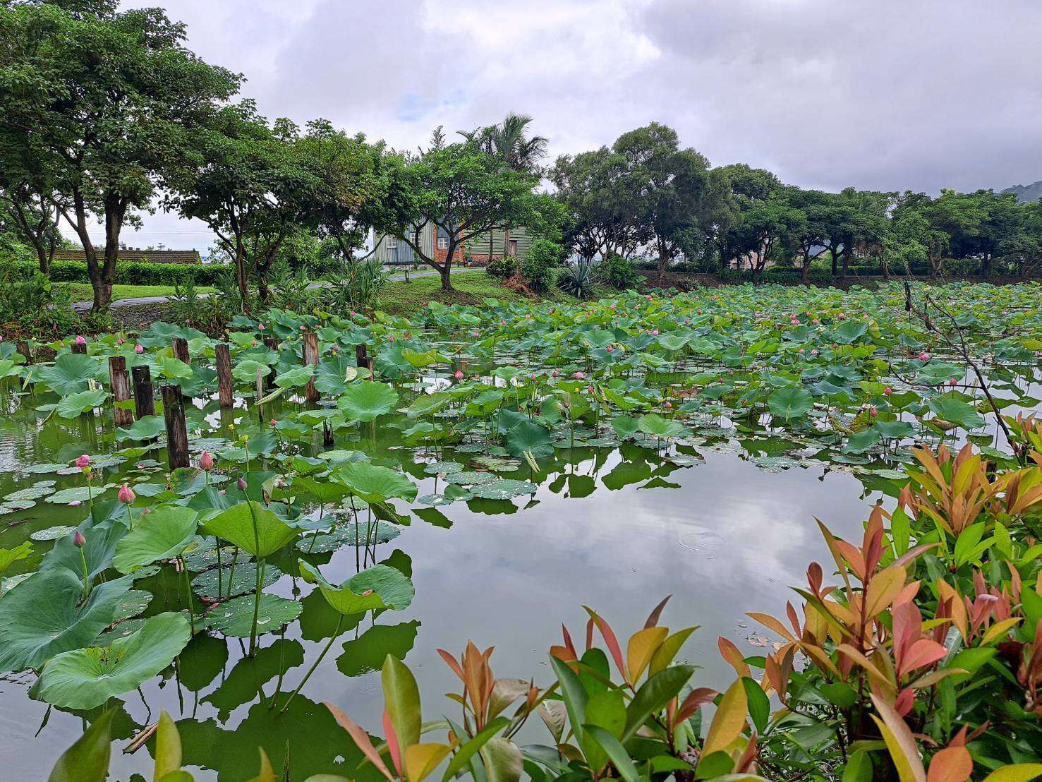 三民濕地公園｜宜蘭勁好玩