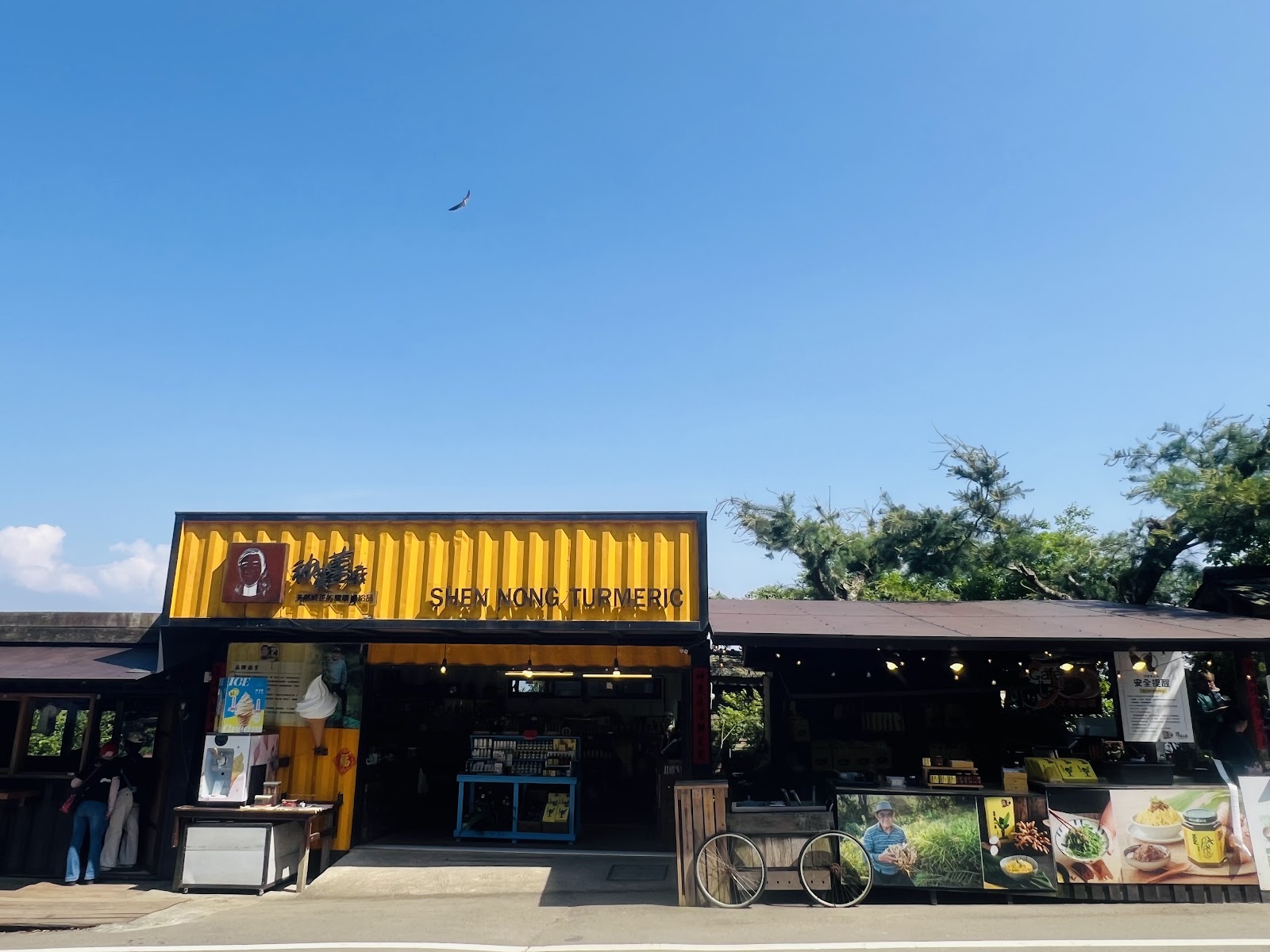 神農薑麻薑黃伴手禮店面貨櫃屋造型招牌外觀