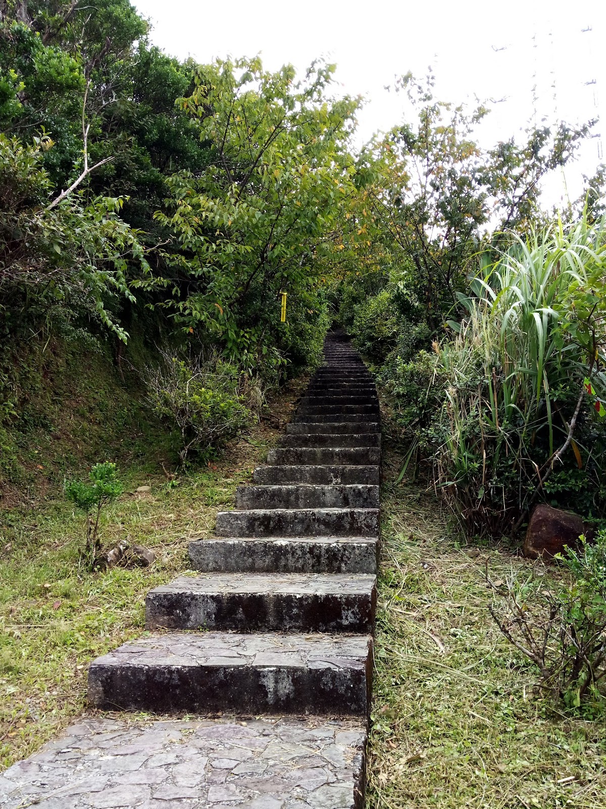 獵狸尖觀景台登山口石階步道,兩側綠意盎然