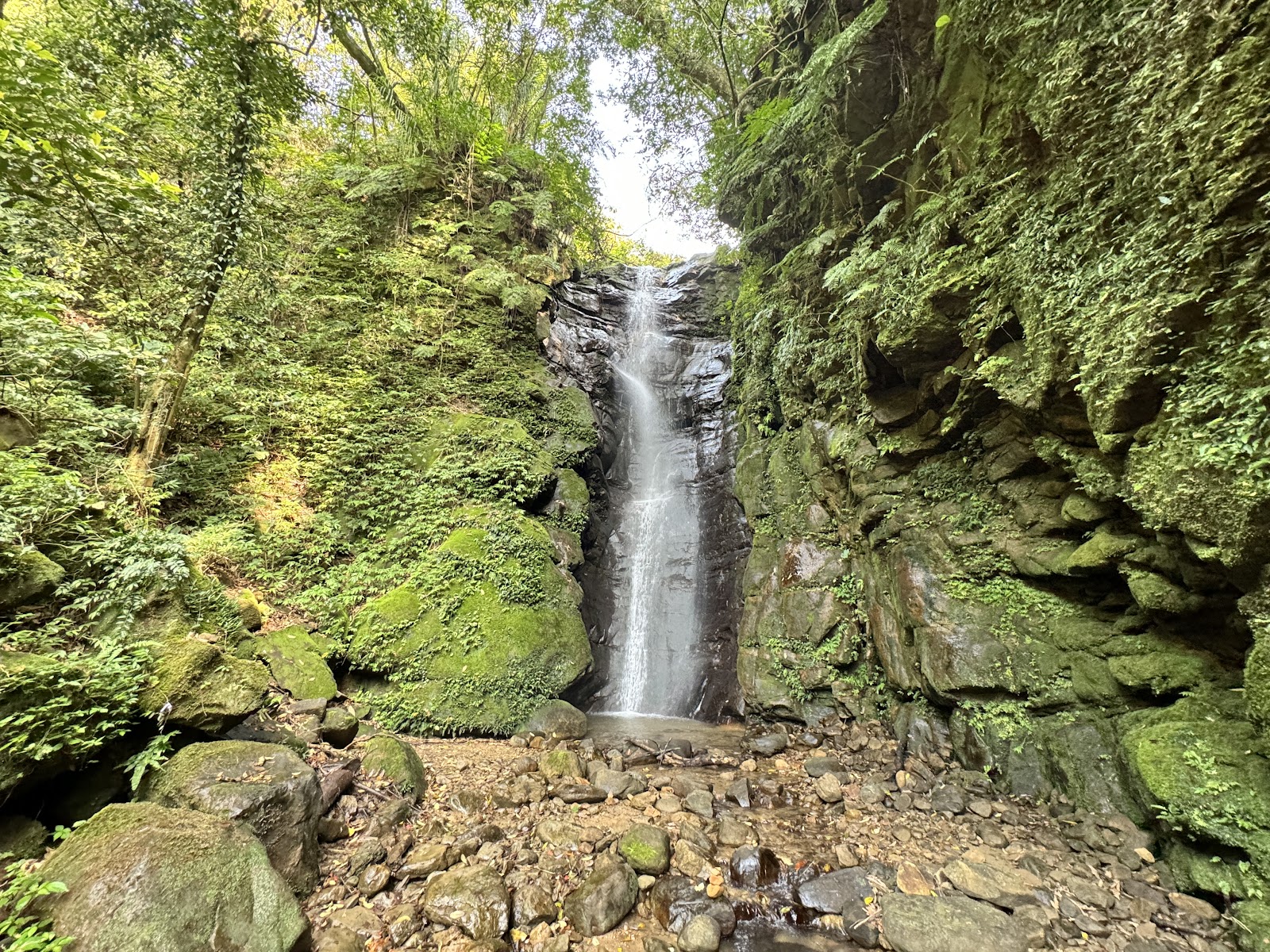 泰安瀑布正面全景綠意環繞水流清澈