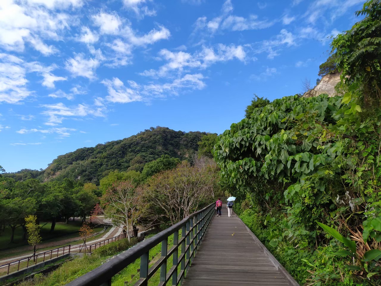 貴子坑五指山層地質觀察棧道，木棧道沿著裸露岩壁興建，遊客沿棧道行走