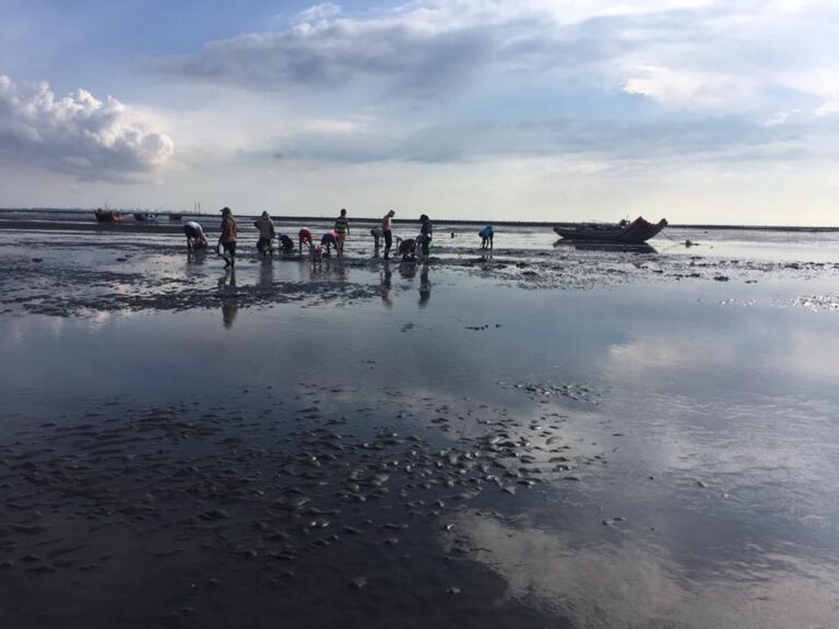 線西海邊退潮泥灘地在地人成群挖蛤仔漁船停靠