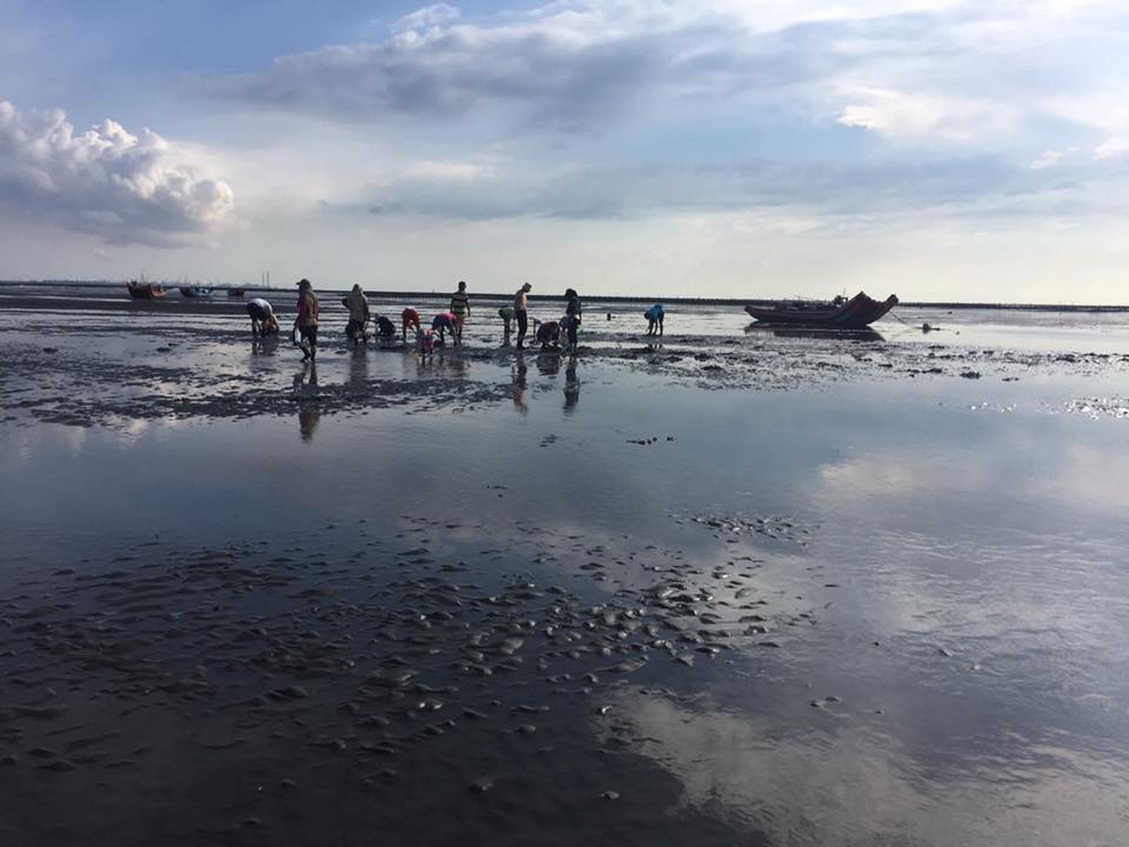 線西海邊退潮泥灘地在地人成群挖蛤仔漁船停靠