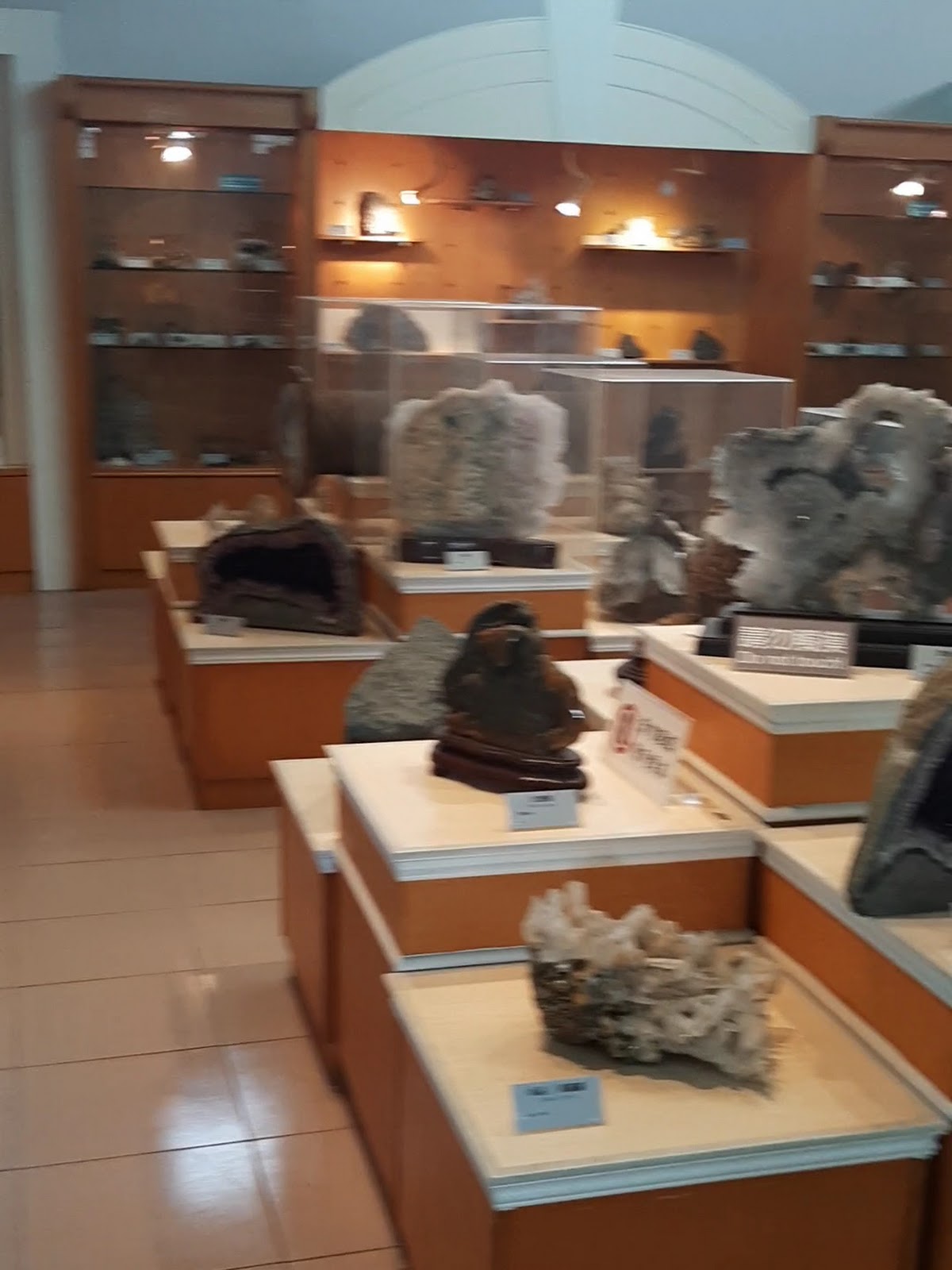 大地化石礦石博物館展示櫃內化石礦石標本