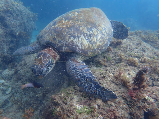 小琉球沿海礁岩與海色