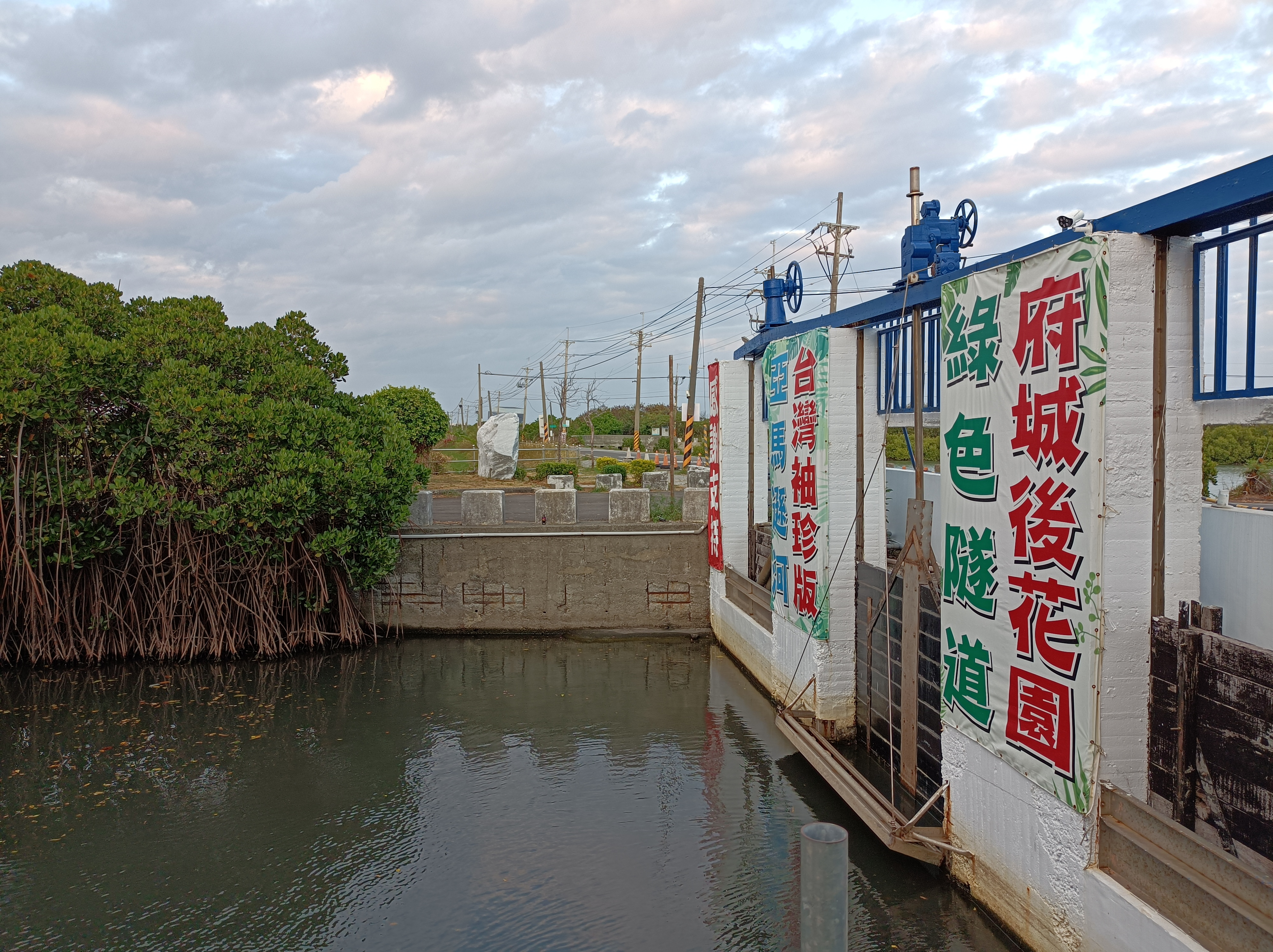 水門與紅樹林河道景觀