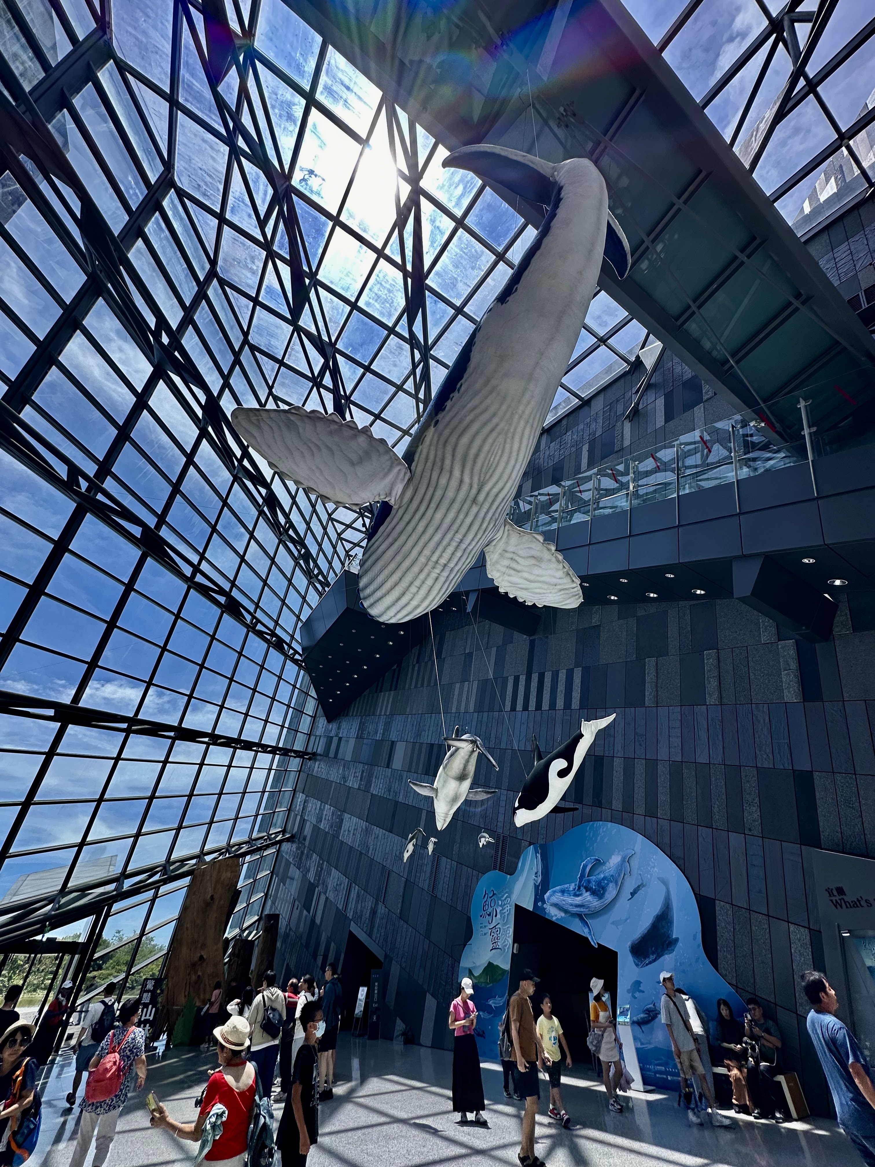 蘭陽博物館室內展廳與懸掛海洋生物模型