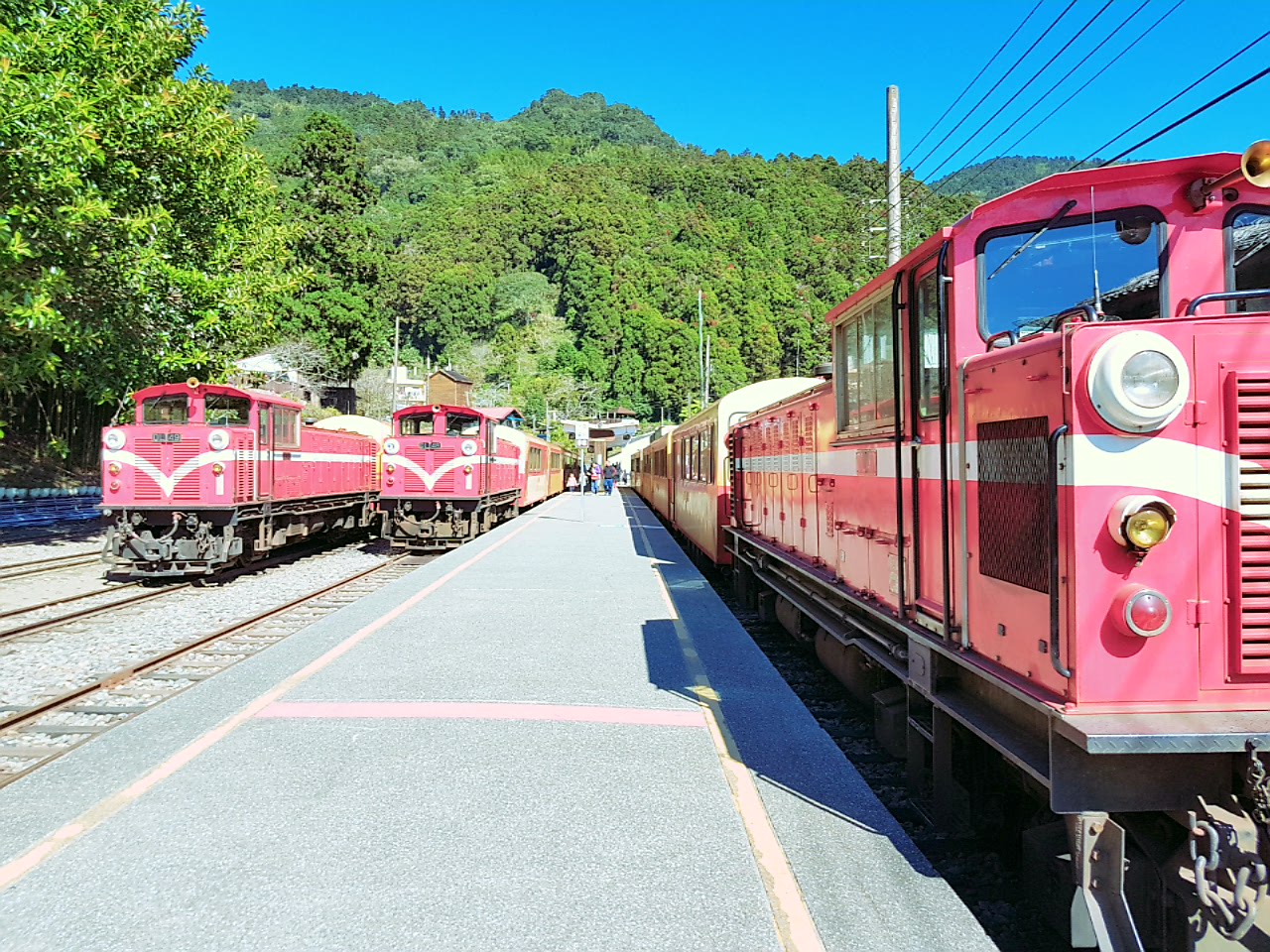 這張圖片主要顯示三輛紅色火車停靠在山區的車站月台,背景有青翠的樹林和藍天,畫面明亮且沒有浮水印。