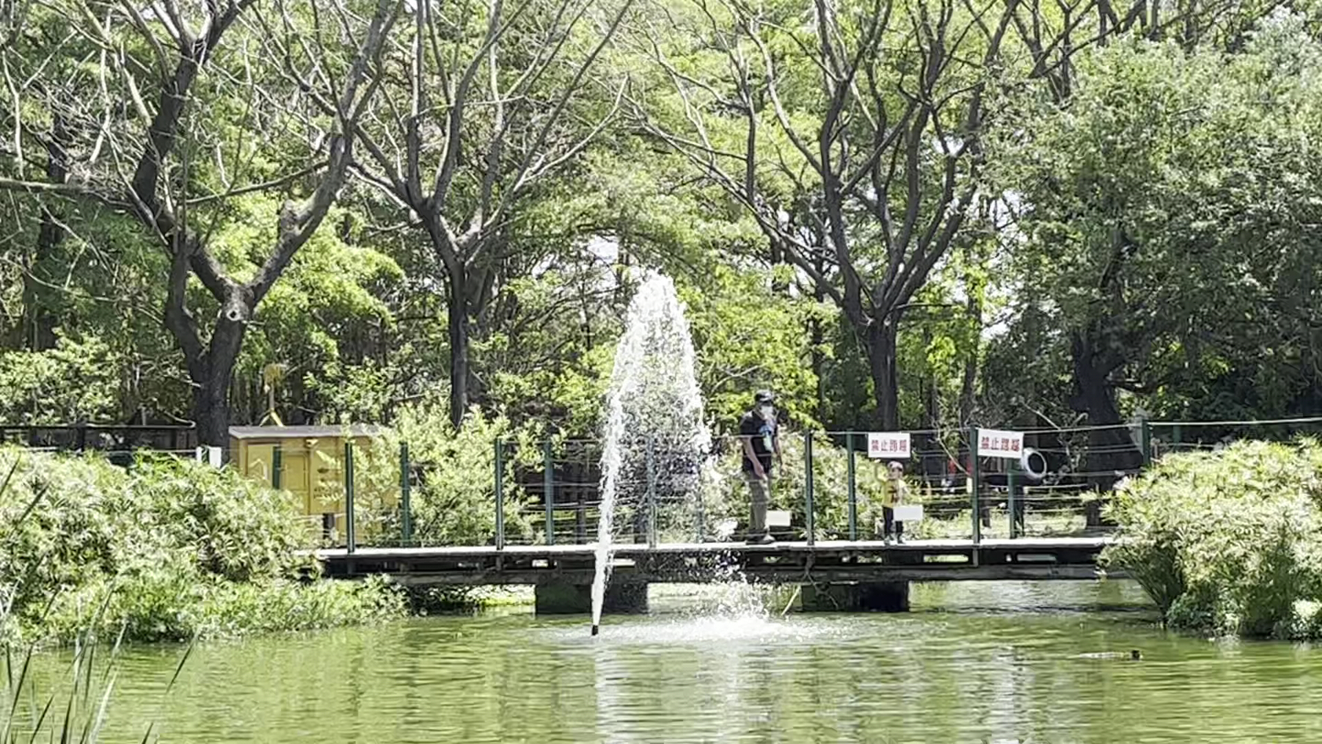 溪湖糖廠周邊公園池塘與噴泉木橋
