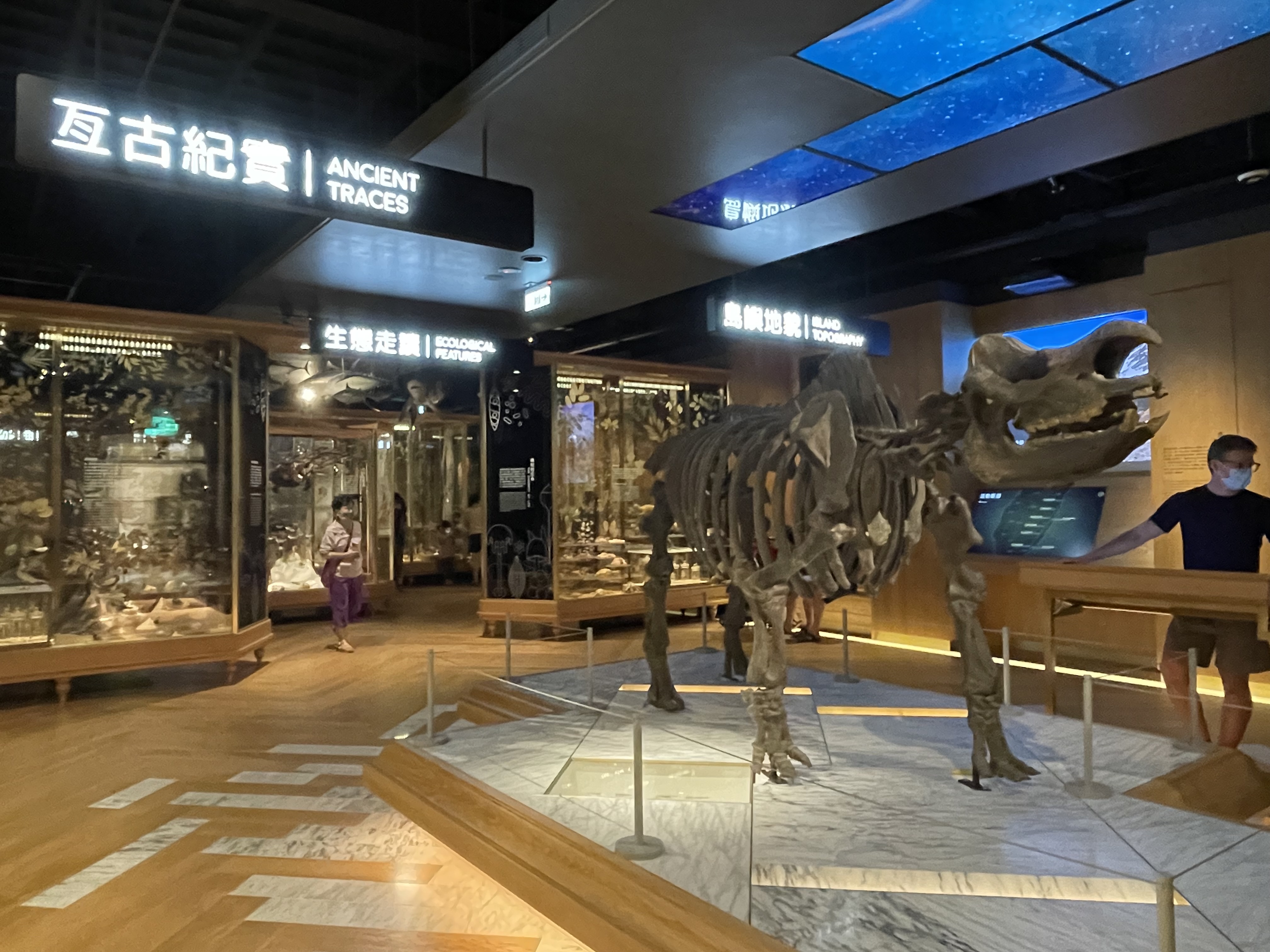 這張圖片展示一座博物館的展覽區，中央有一具大型動物化石骨架，周圍展櫃內陳列各種生物標本。圖片中英文標示有“古紀賞”、“生態走廊”等，現場有參觀民眾，畫面無明顯浮水印。