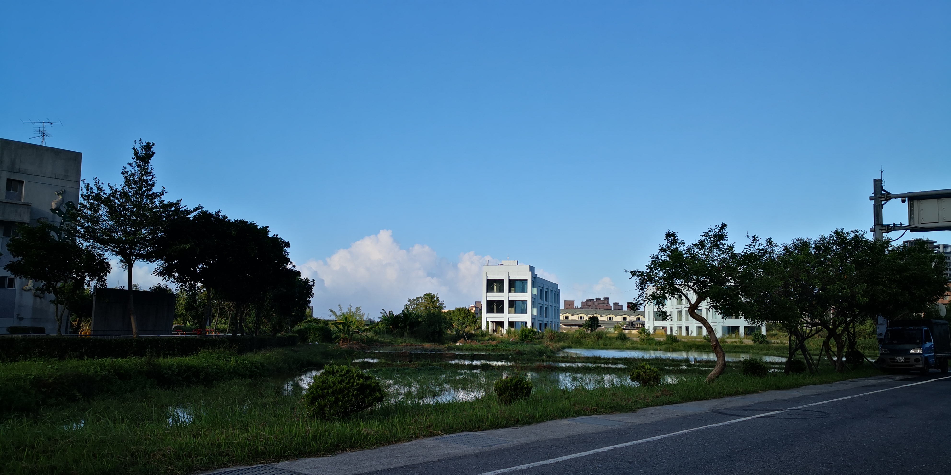 金山鄉間稻田與建築景觀