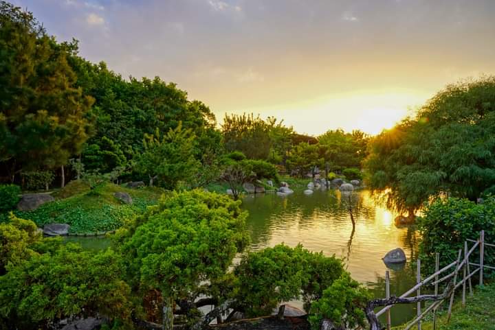 池塘與茂密綠樹構成的虎尾寧靜庭園景觀