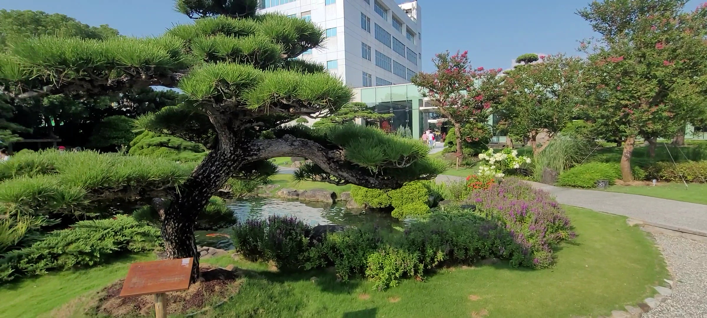 成美文化園池塘與日式園林全景