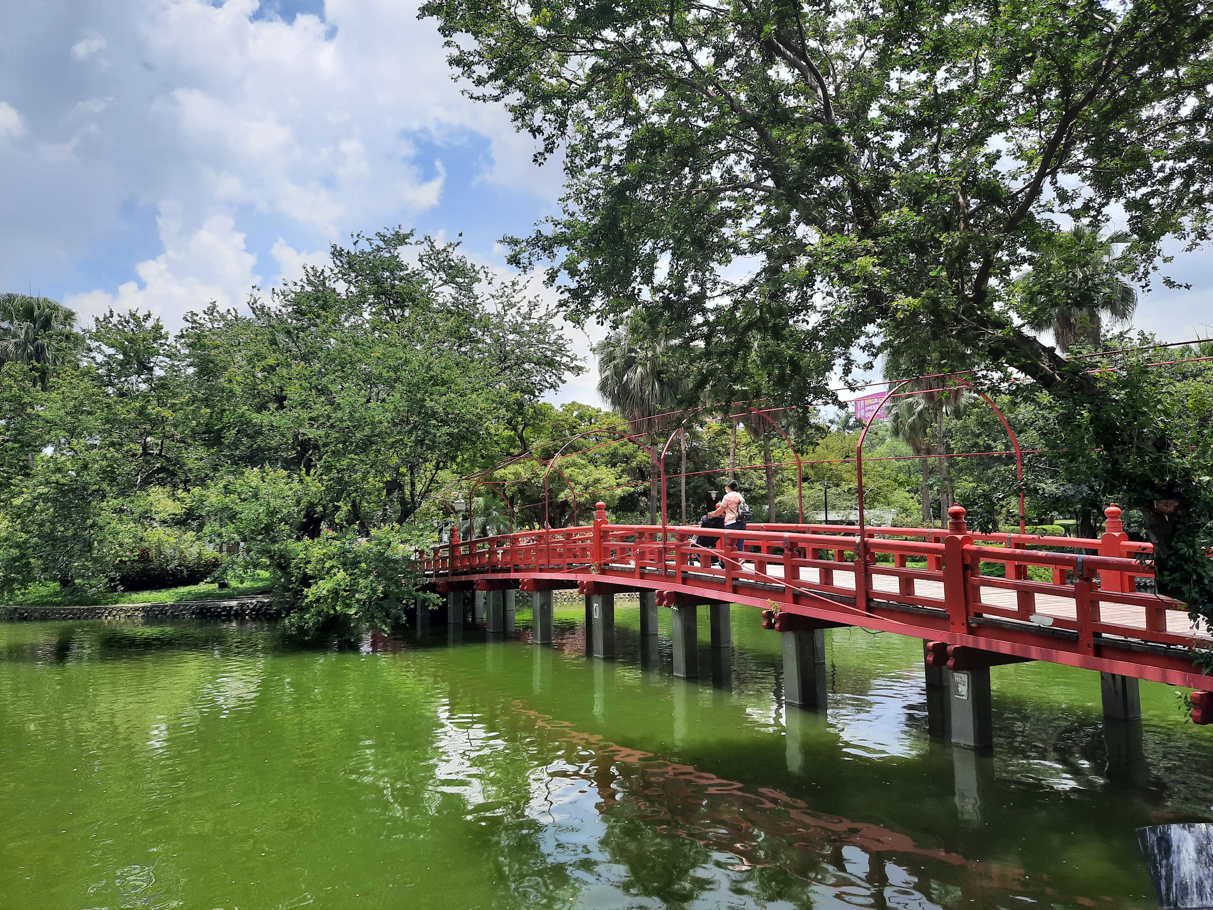 紅色拱橋橫跨綠色湖面與茂密樹景