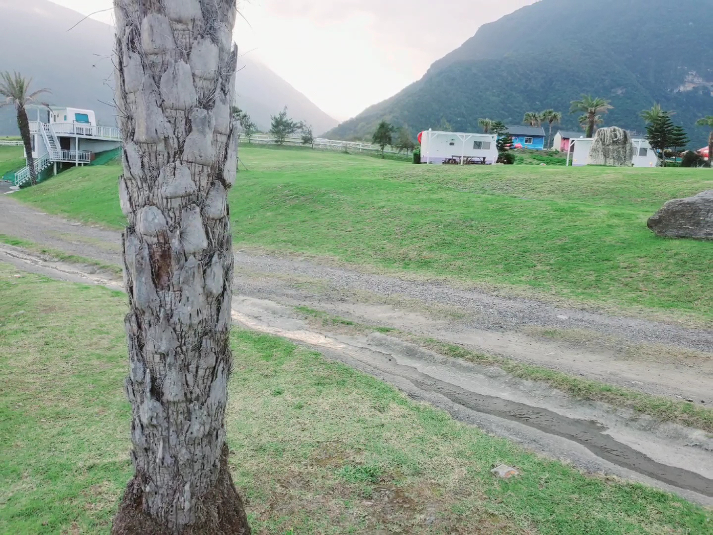 一棵椰子樹、大片綠色草地、一些房屋小屋,遠方有山脈