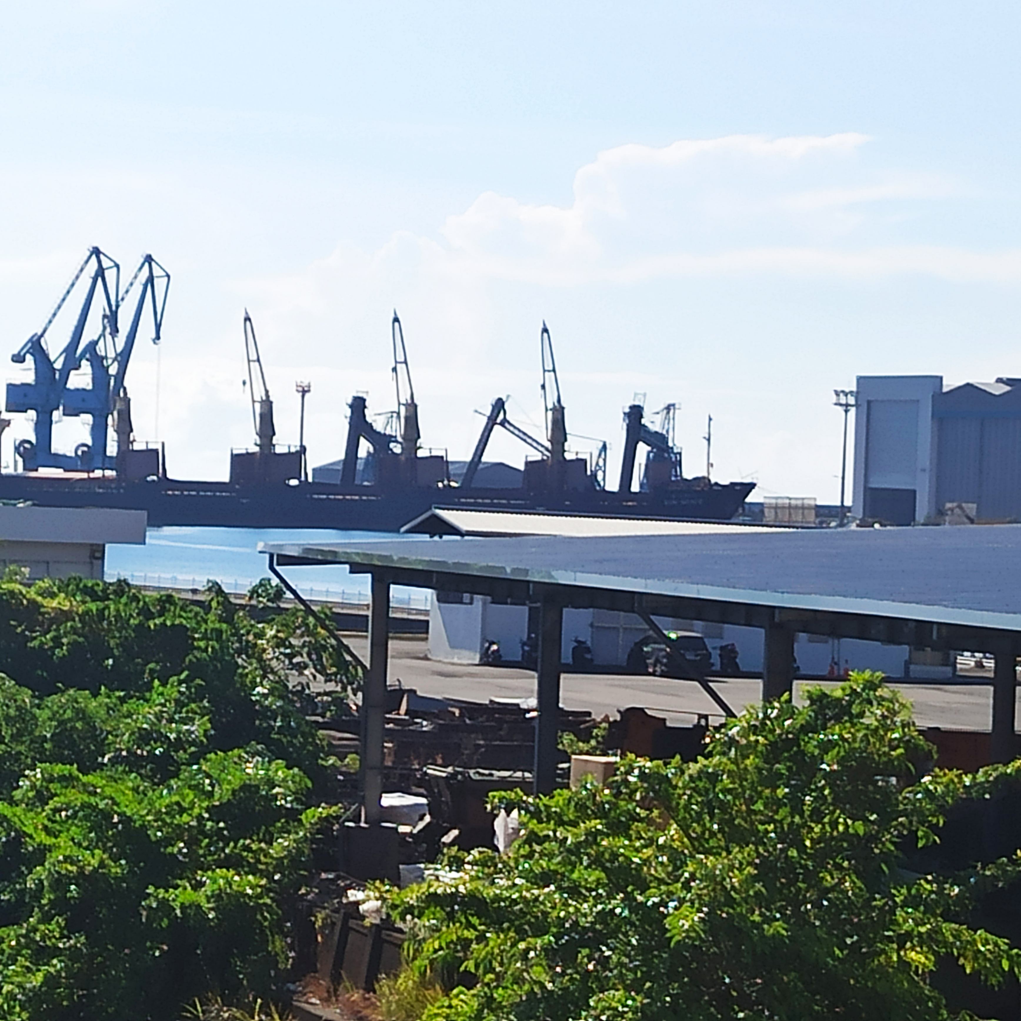 這張圖片以港口為主題，背景可見多台大型貨櫃船與裝卸貨起重機，前景則有廠房及綠色植被。圖片無明顯浮水印。