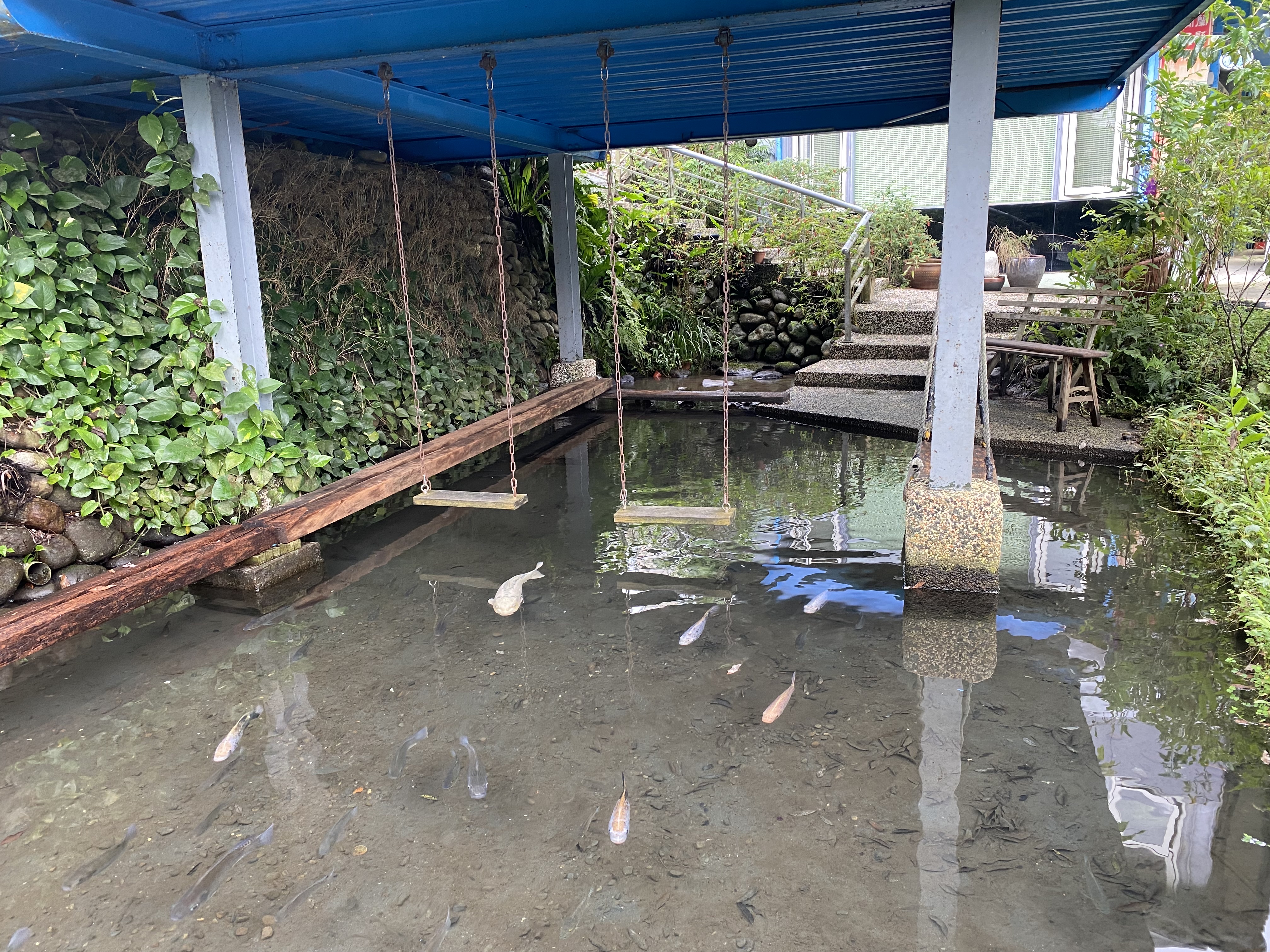 花泉休閒農場戲水池與鞦韆