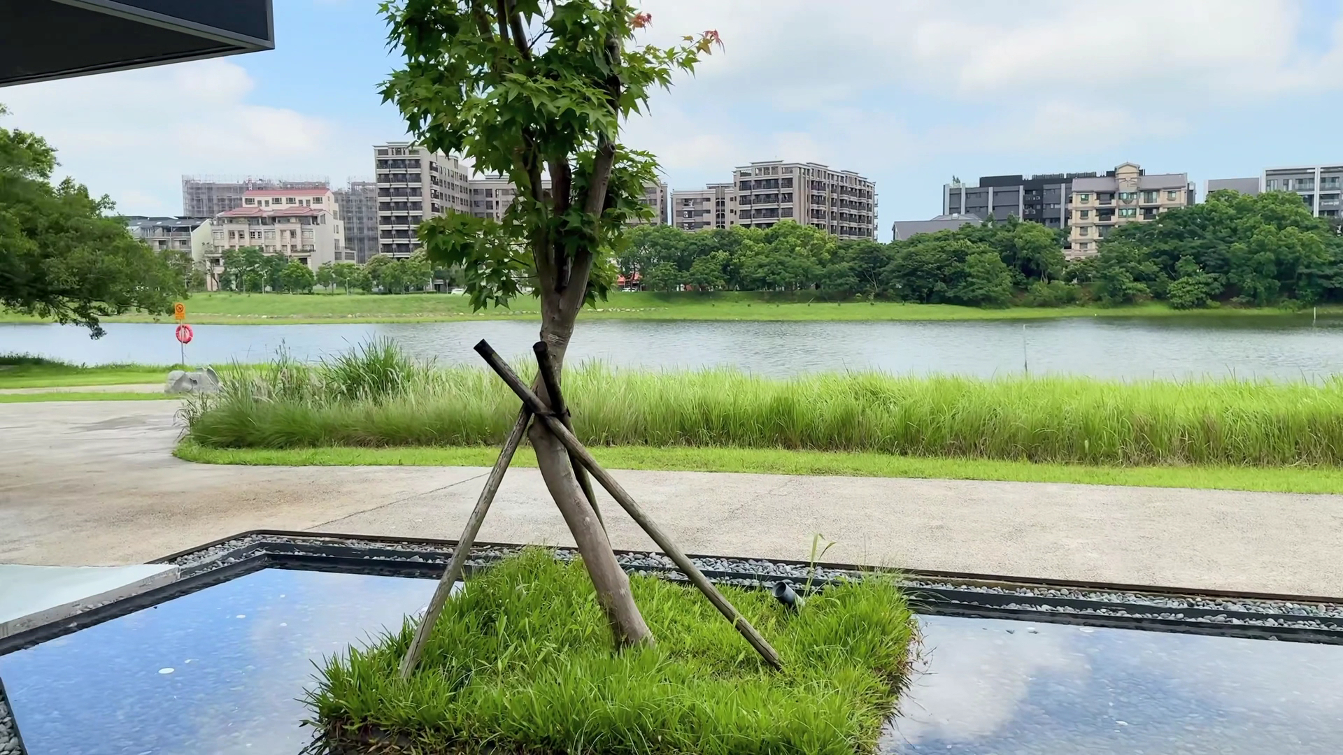 草地小樹與水池後方延伸湖景與建築天際線