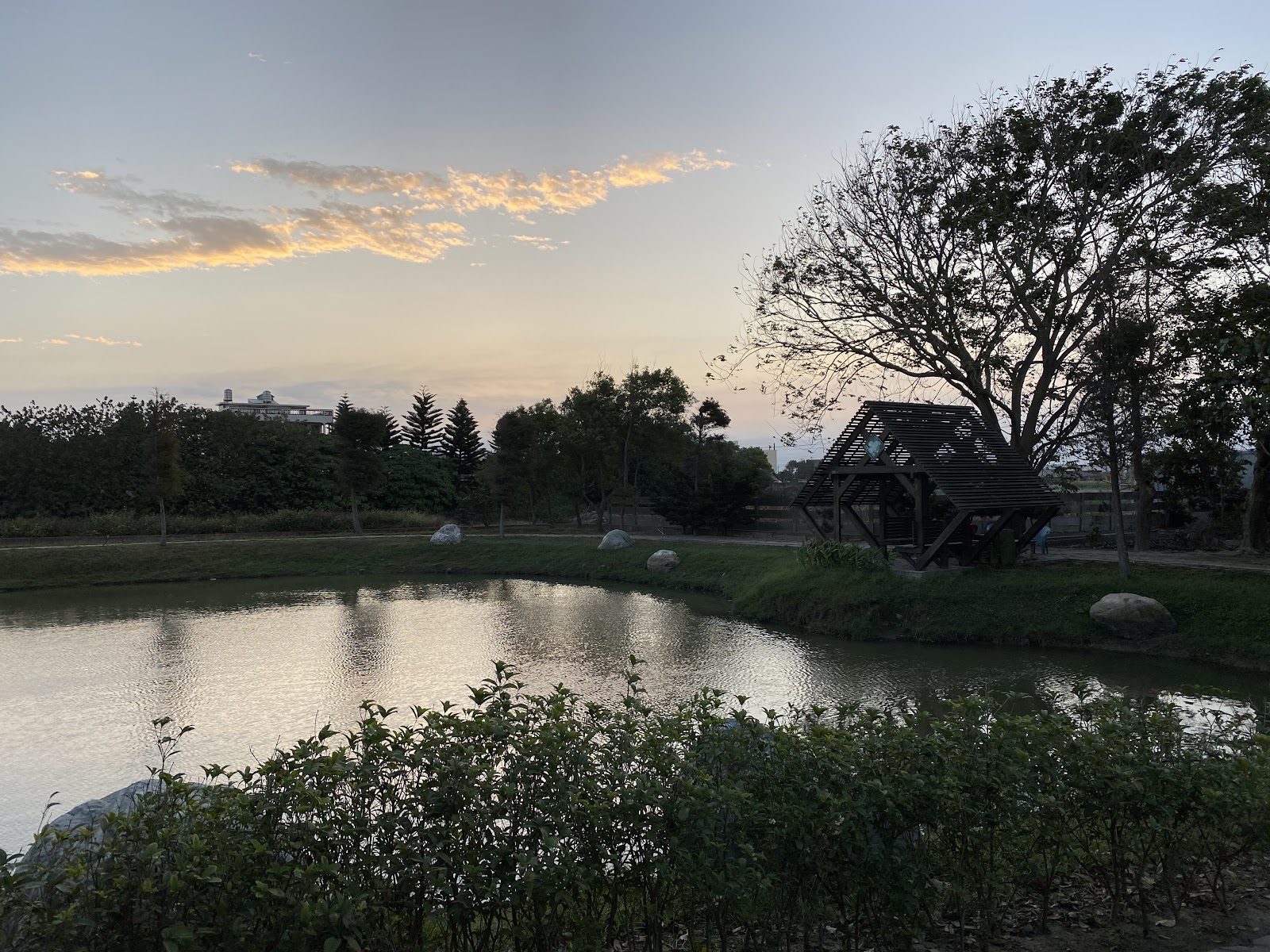 雲林褒忠柳樹下生態景觀公園夕陽木造涼亭池畔