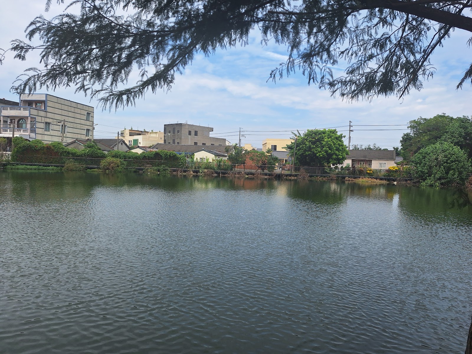 雲林褒忠潮厝村明池池畔倒影
