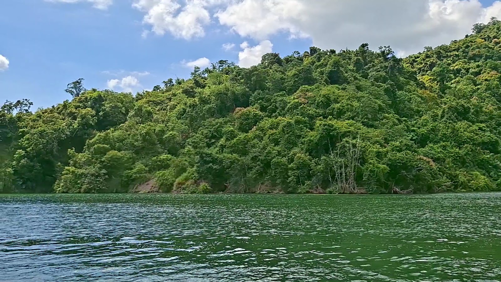曾文水庫飛鷹峽谷周邊蓊鬱山林與湖水