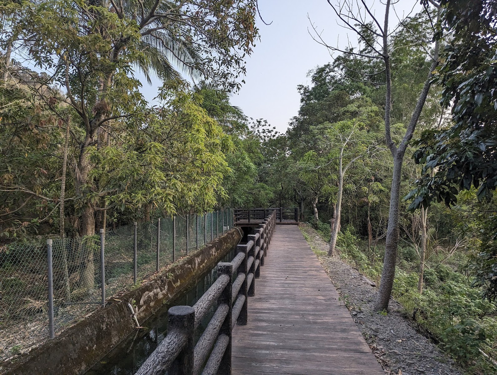 力力溪伏流水圳旁木棧道，林蔭步行小徑